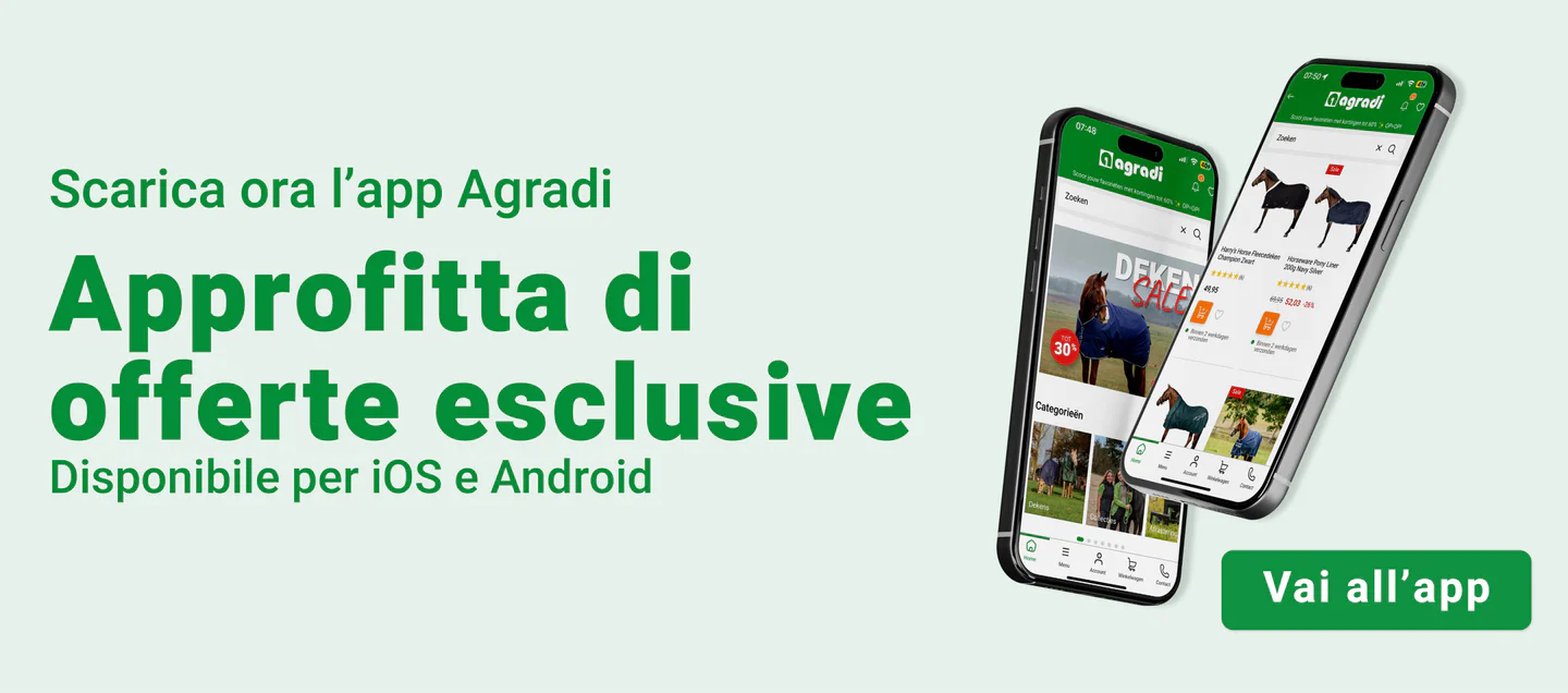 Eleganza e Passione Equestre
