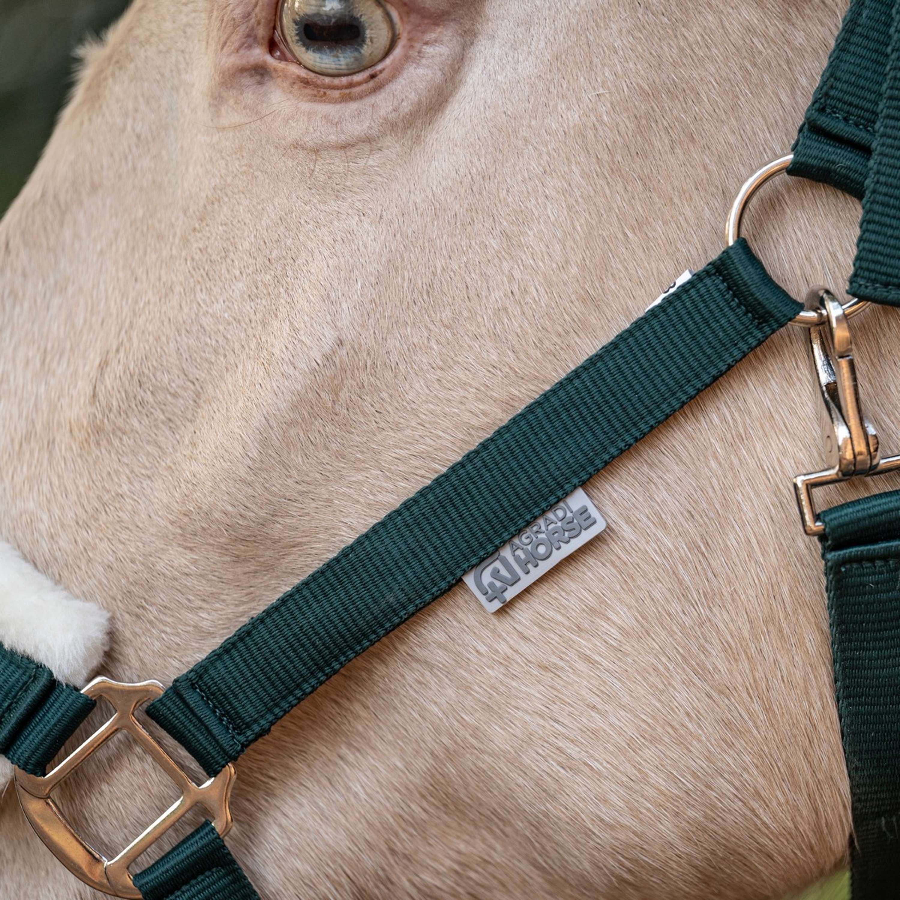 Agradi Horse Cavezza First Fir Green - Image 4