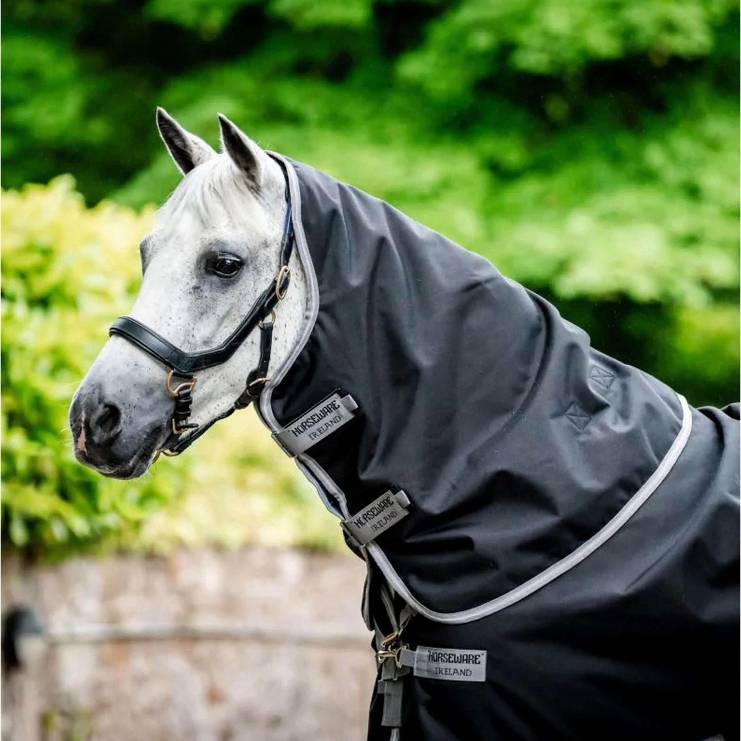 Amigo Bravo 12 Plus Turnout medio 250g Black/Titanium Grey - Image 3
