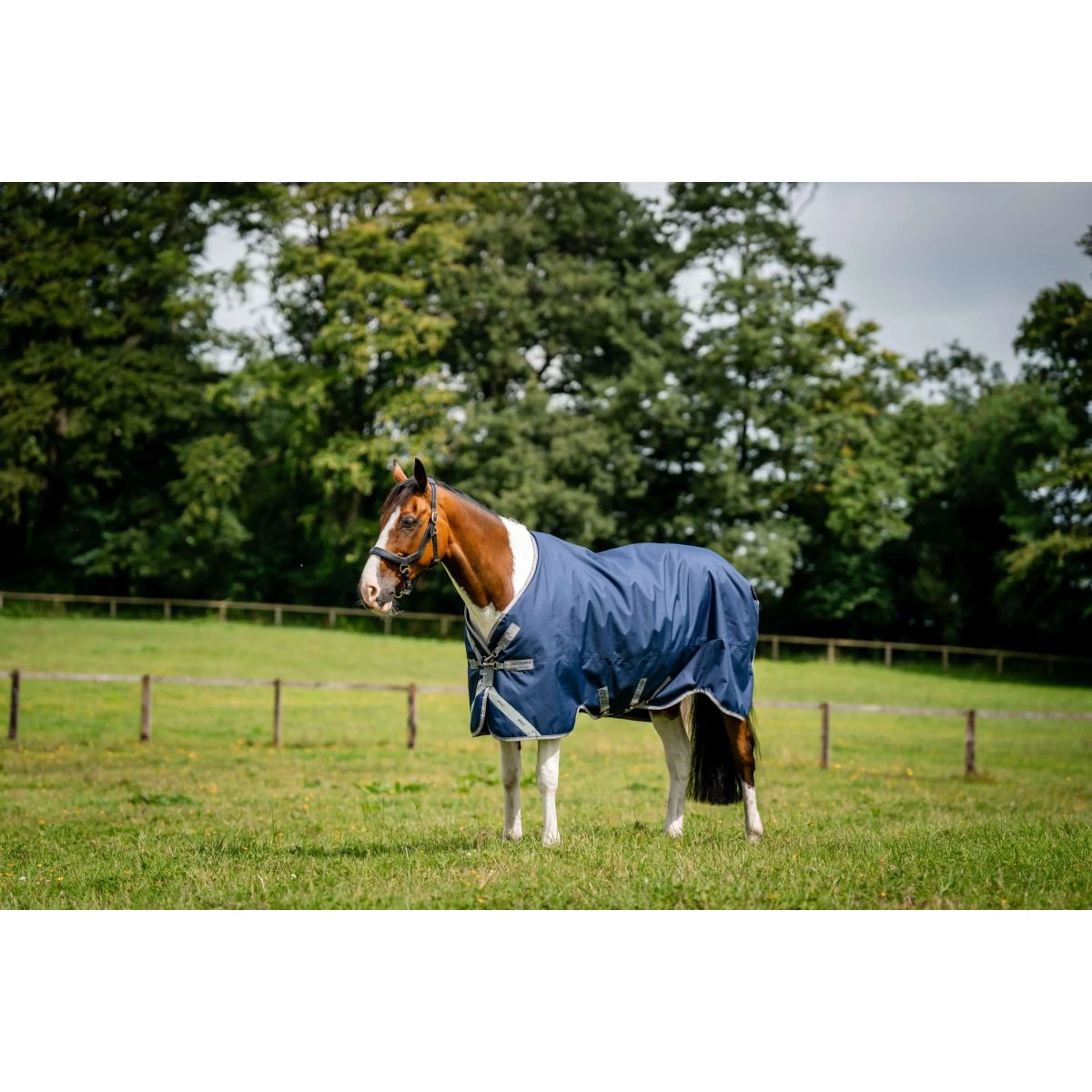 Amigo Bravo 12XL originale Turnout medio 250g Navy/Titanium Grey - Image 6