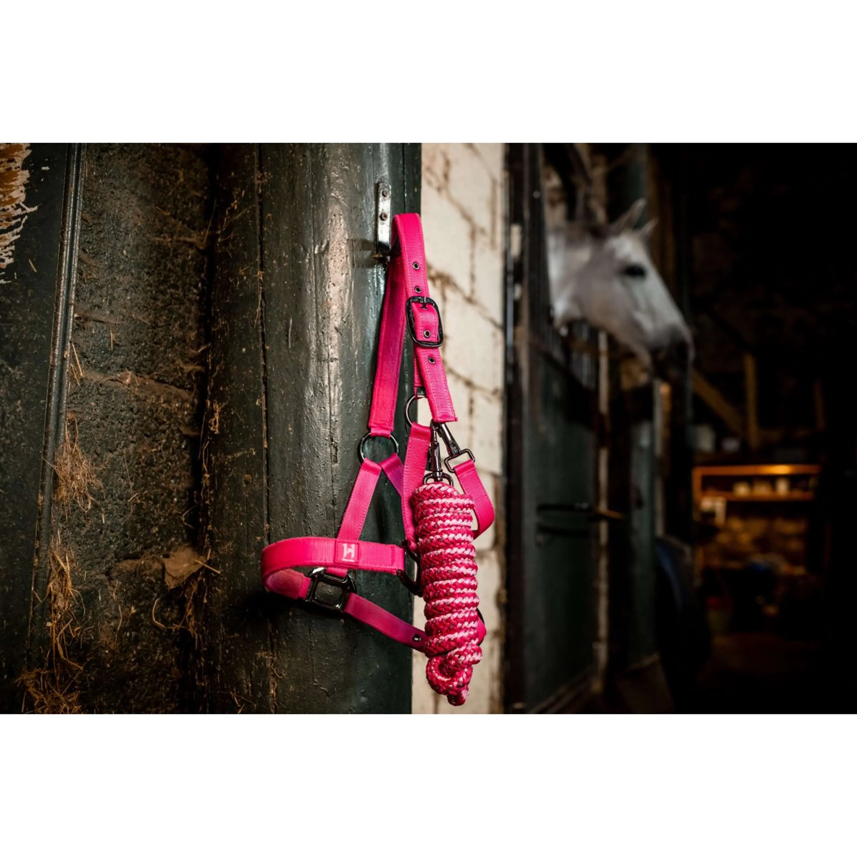 Amigo Cavezza e corda Newmarket Witney Pink - Image 2