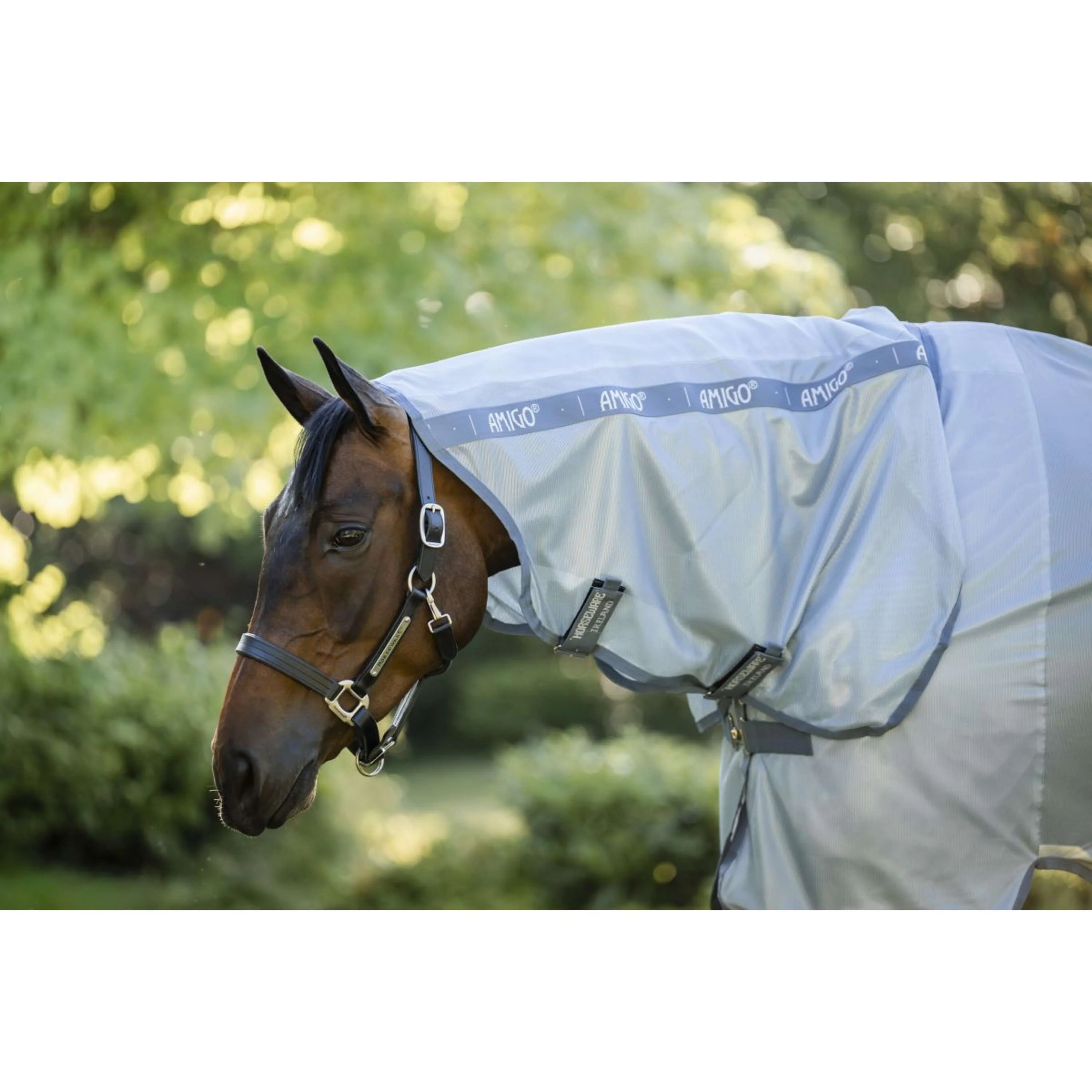 Amigo Coperta Antimosche Integrated Heather Blue/Blue/Silver - Image 3