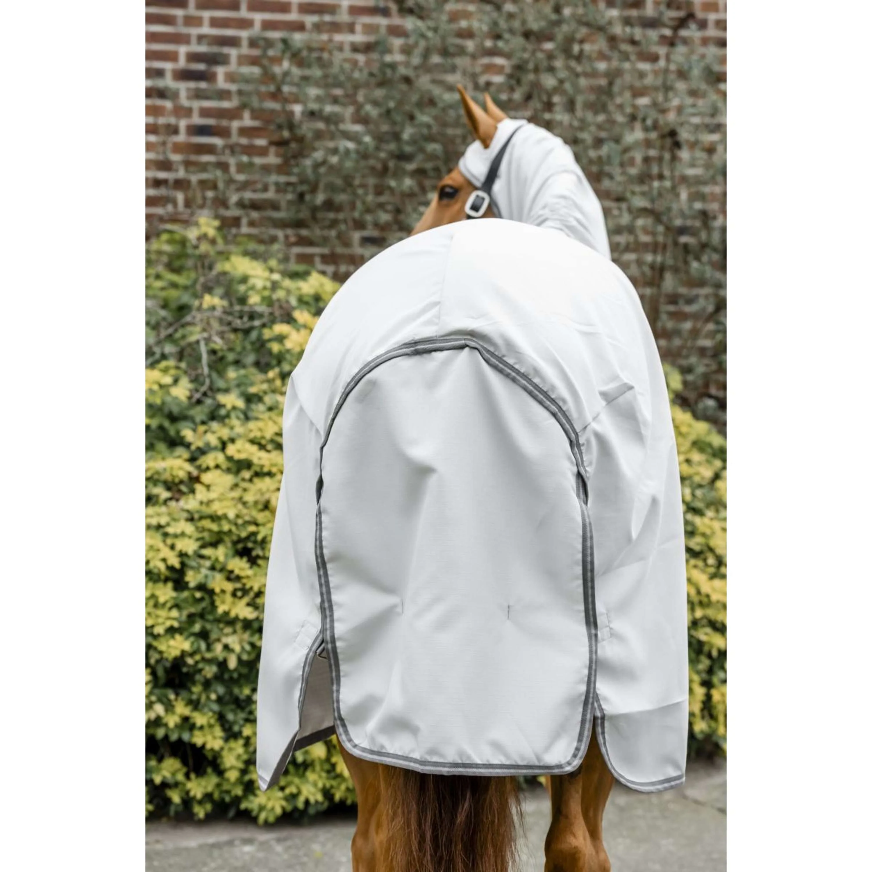 Amigo Felpa con cappuccio Ripstop Argento/Grigio Titanio/Argento - Image 7