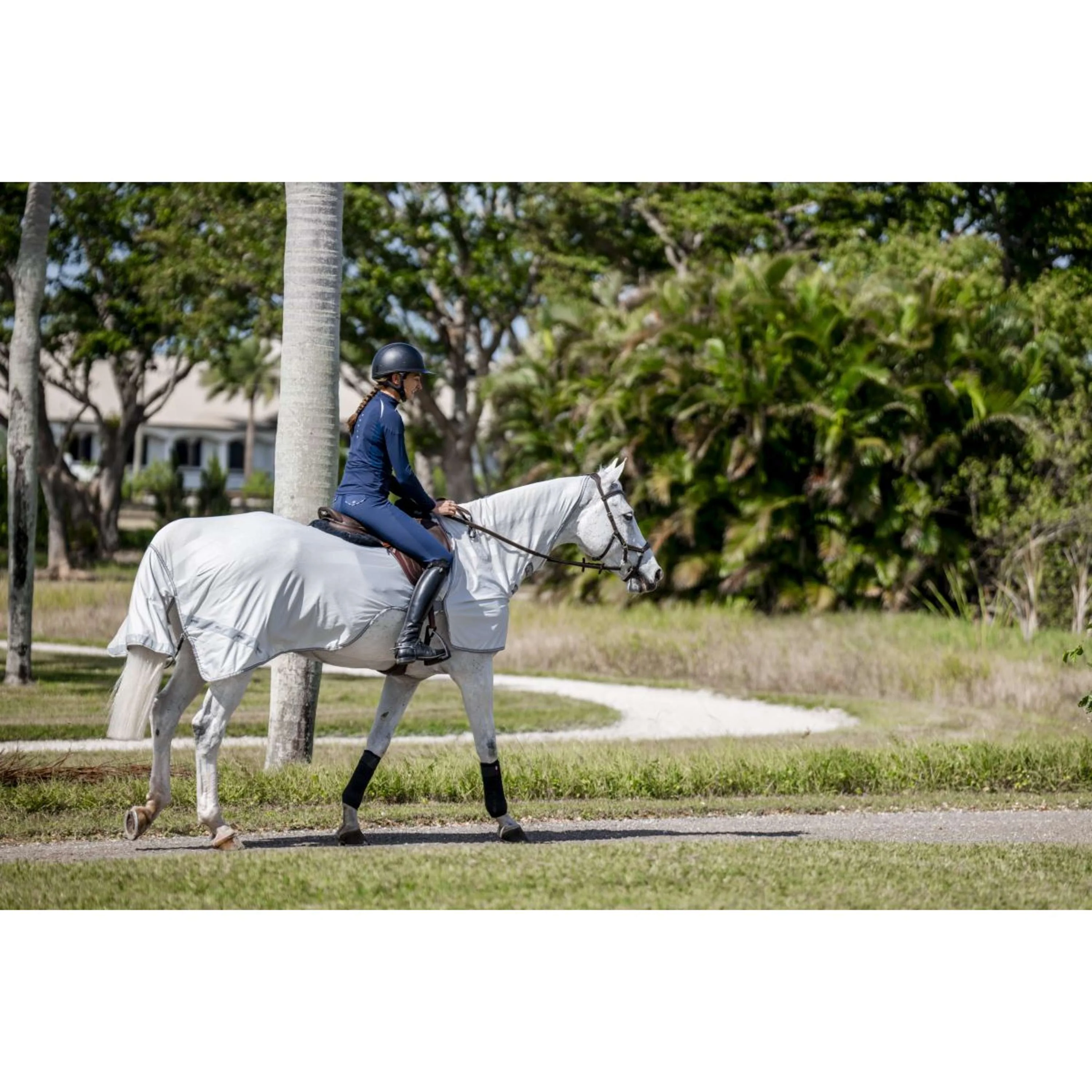 Amigo Flyrider Argento/Grigio Titanio/Argento - Image 2
