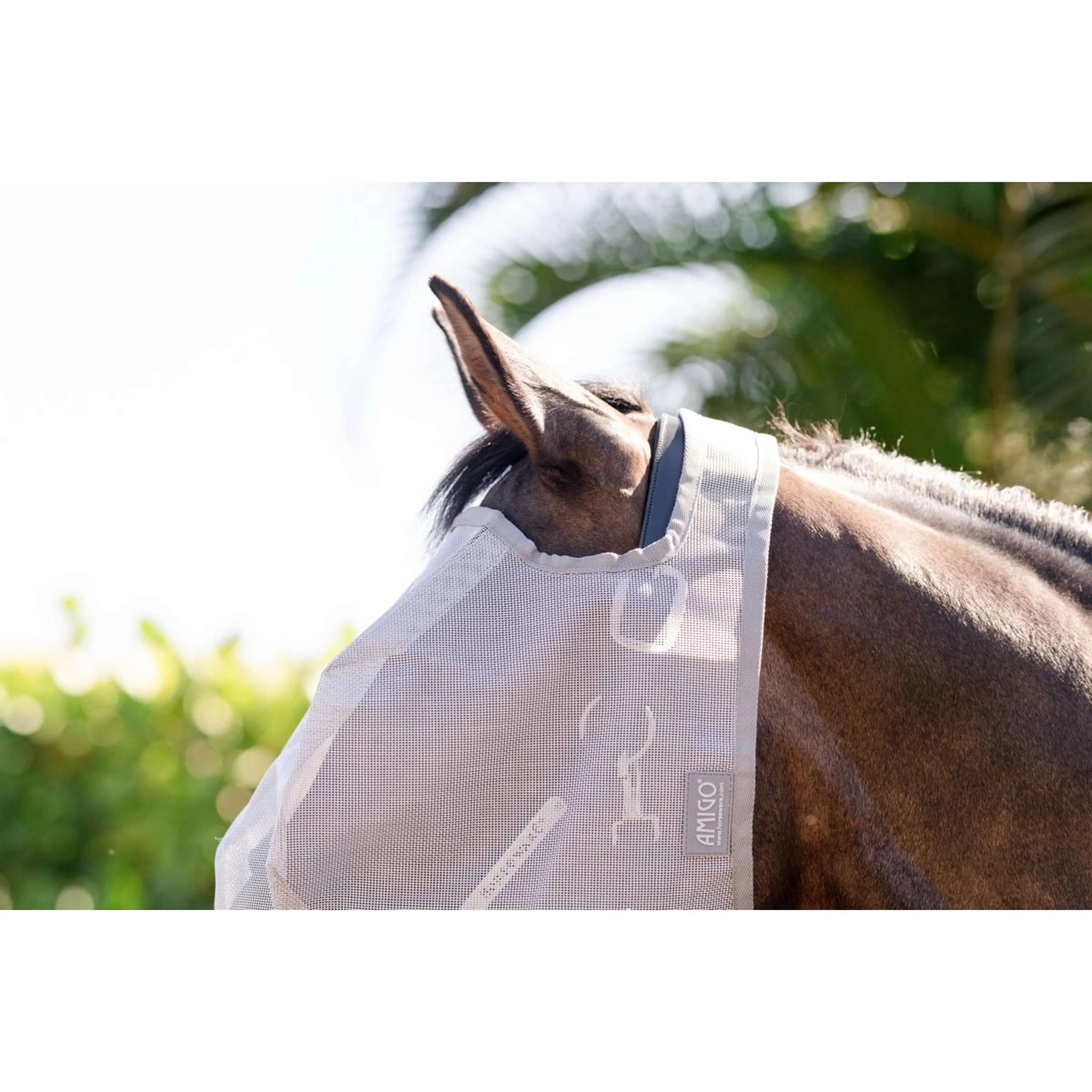 Amigo Maschera per Mosche Senza orecchie Argento/Grigio Titanio/Argento - Image 2