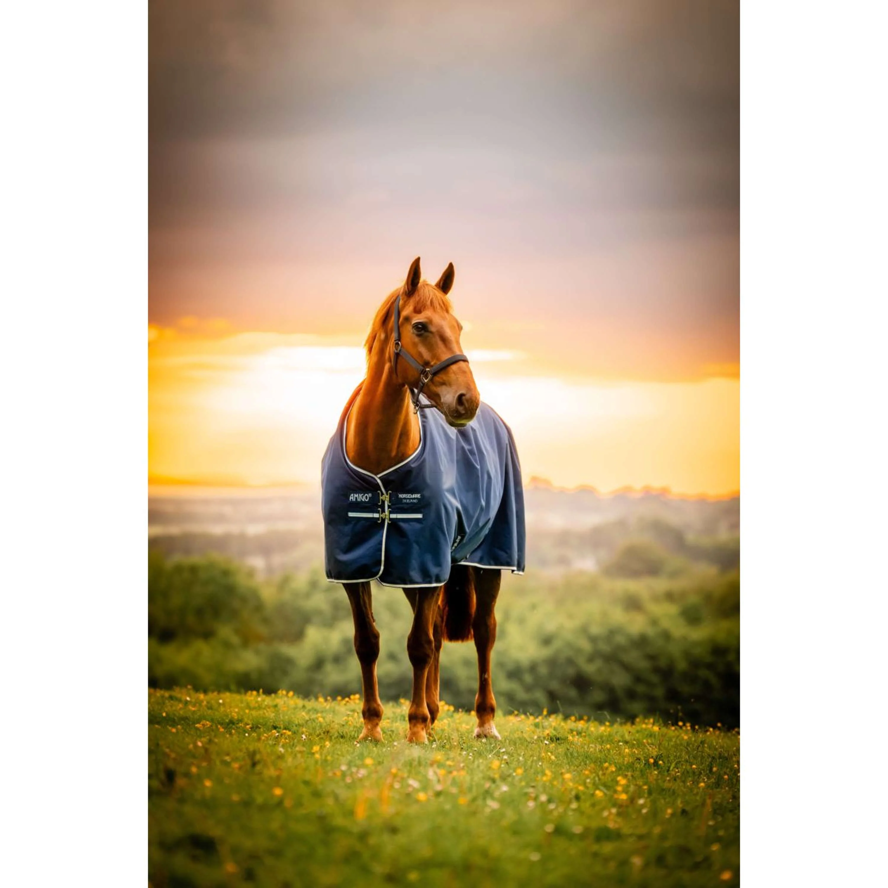 Amigo Ripstop 900D Pony 200g Marina di Witney - Image 6
