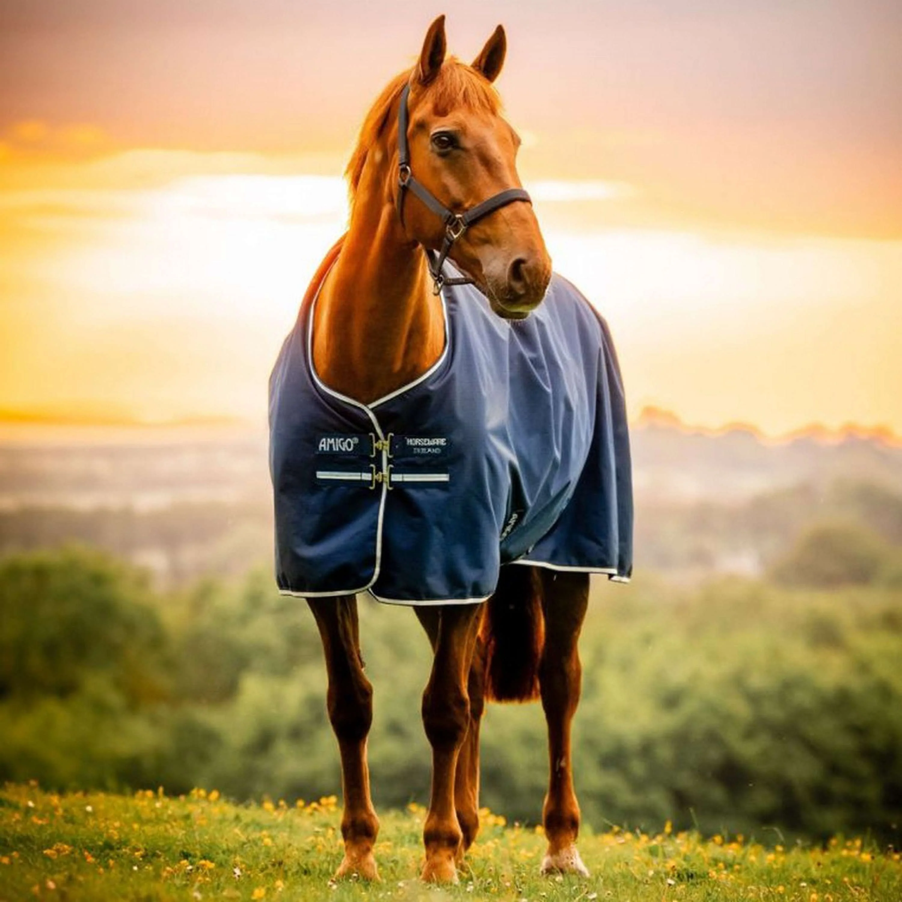 Amigo Ripstop 900D Pony 100g Marina di Witney - Image 3