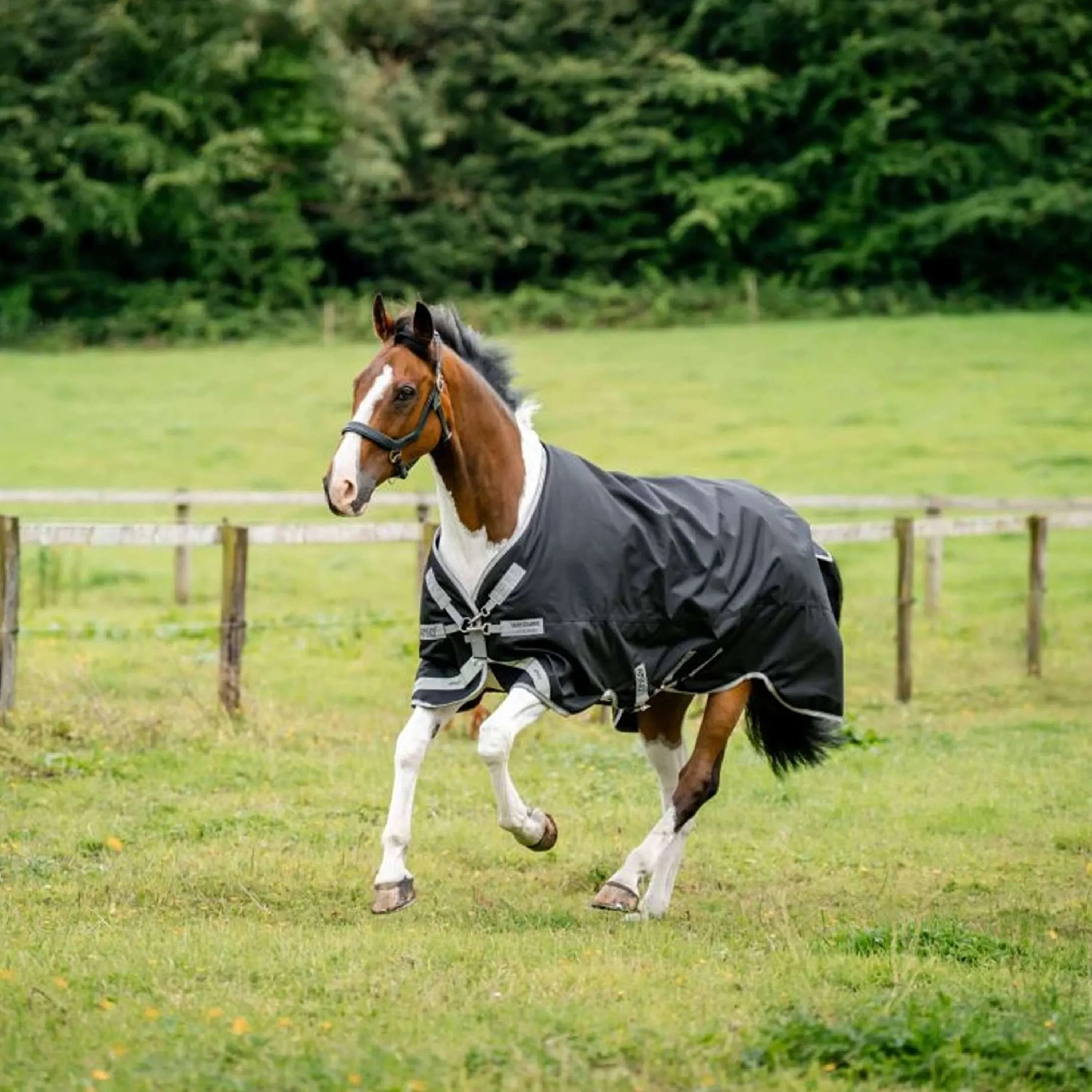 Amigo Turnout 1200D XL 50g Nero/Grigio Titanio/Argento