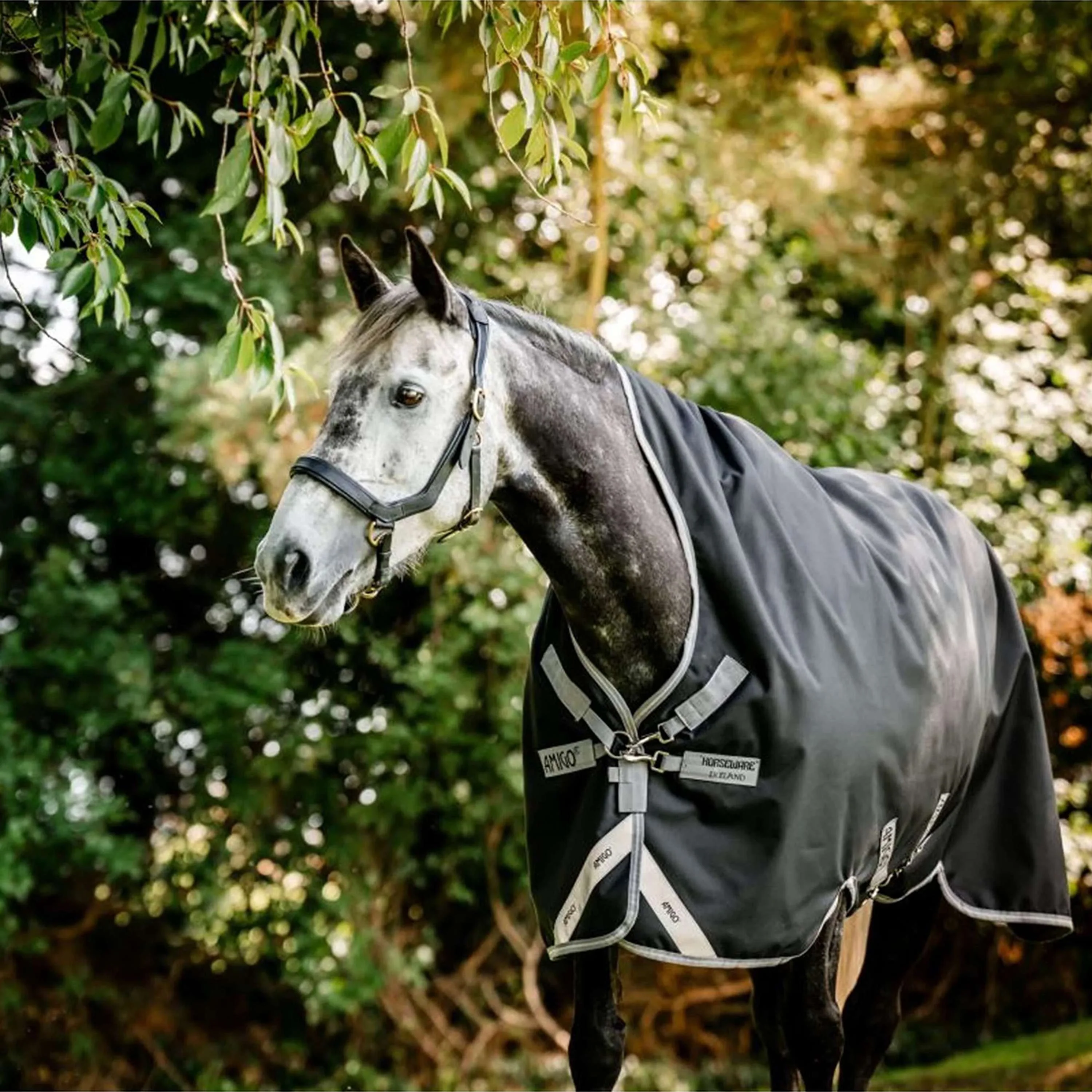 Amigo Wug Turnout 1200D 50g Nero/Grigio Titanio/Argento - Image 3
