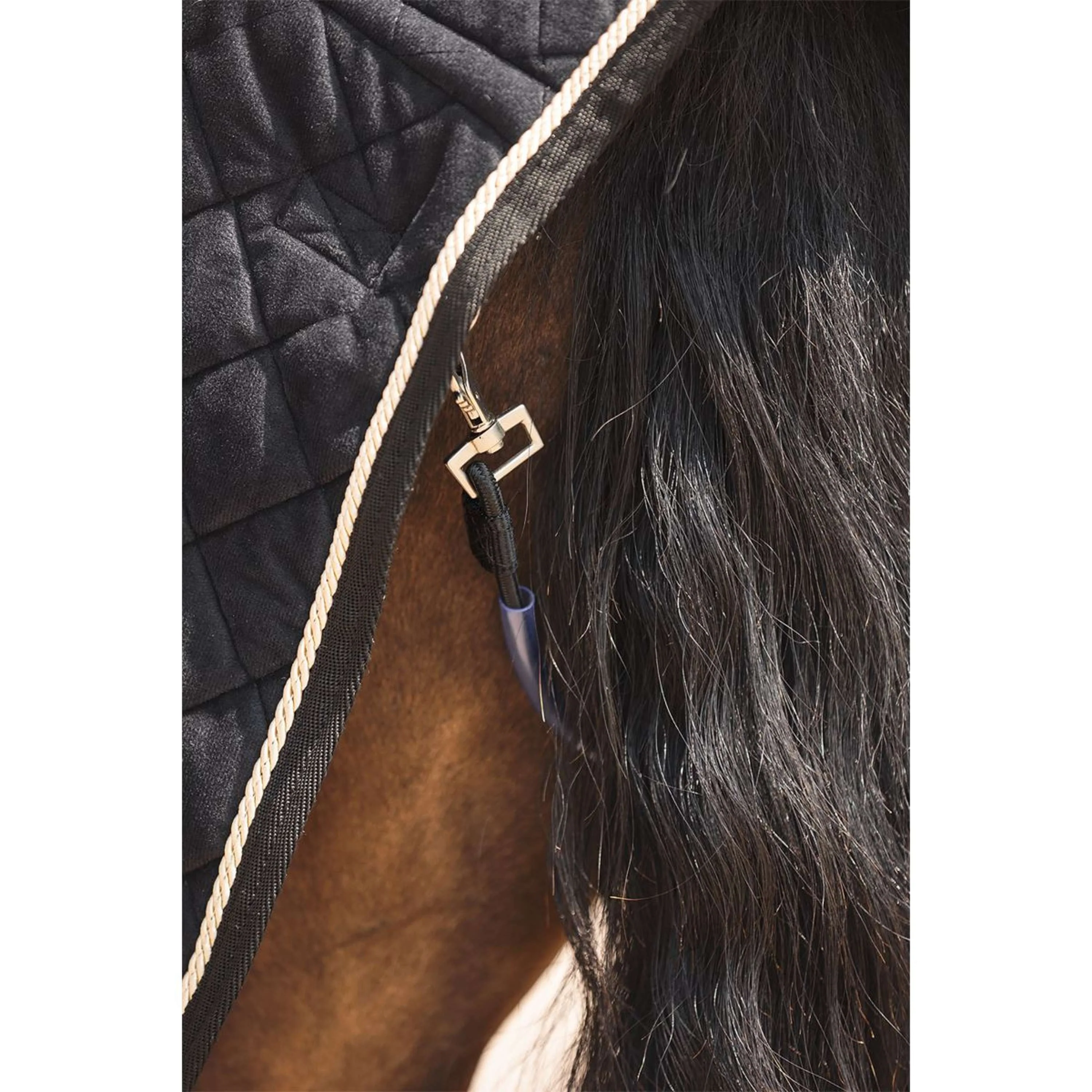 ANKY Coperta da esercizio ATB25011 Nero - Image 6