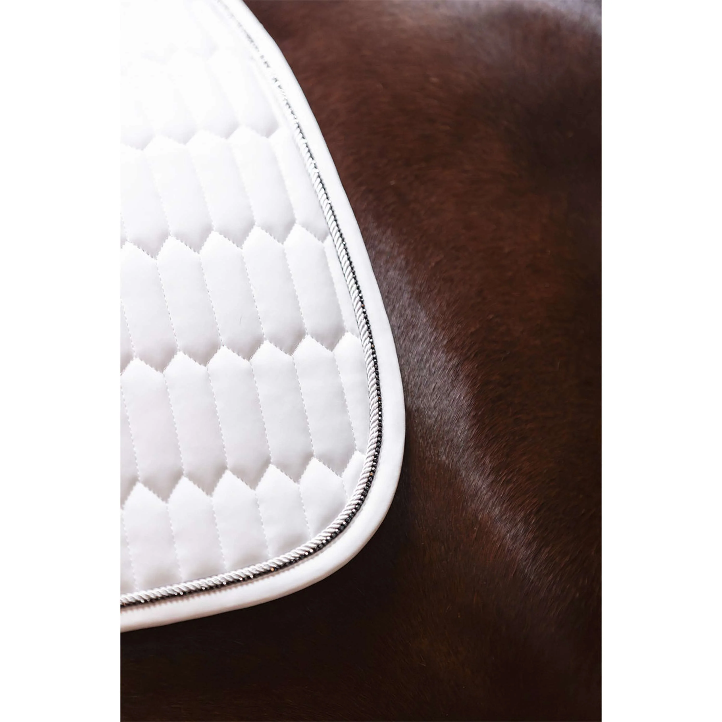ANKY Sottosella Perception C-Wear Dressage Bianco - Image 5
