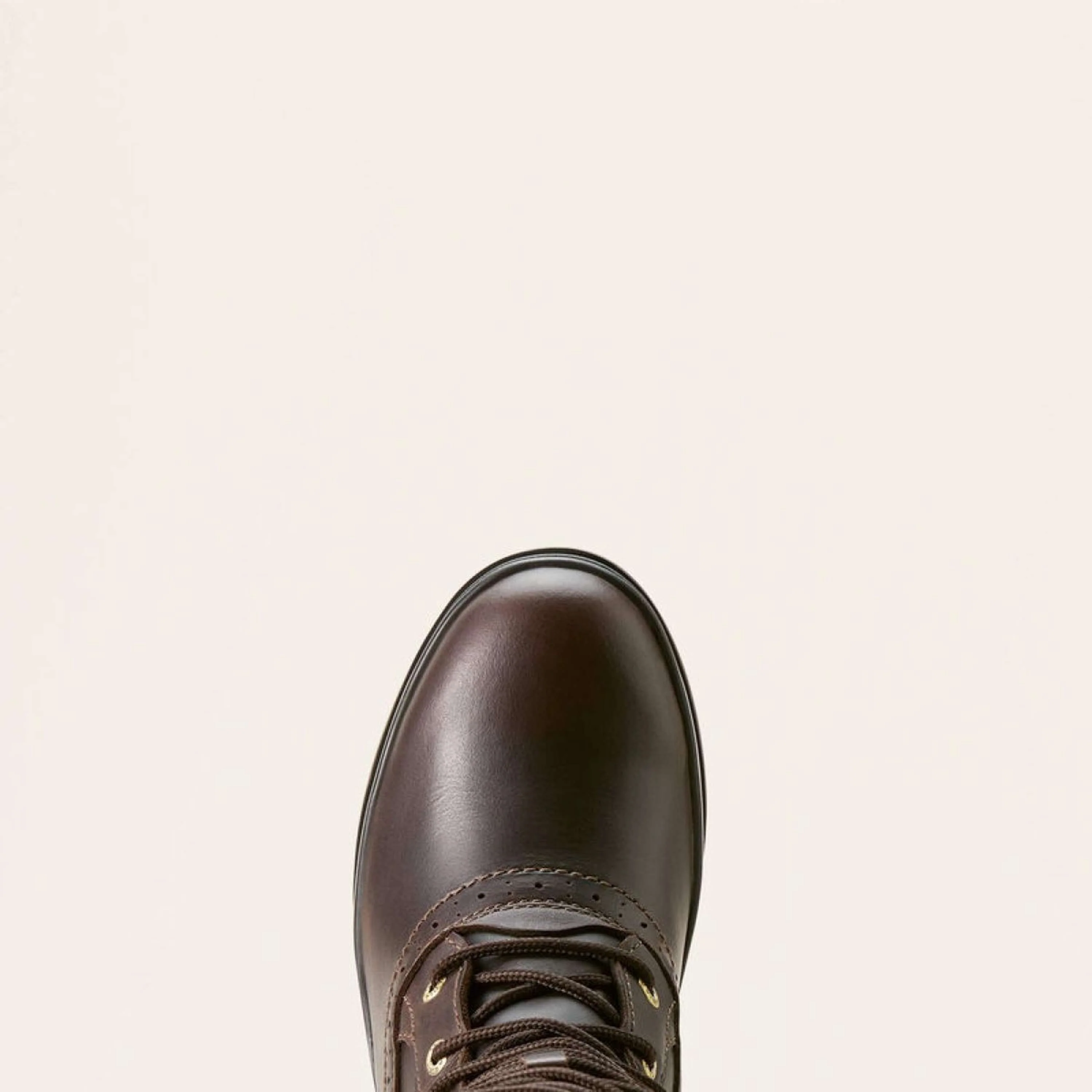 Ariat Stivali da Esterno Wythburn II Sherpa Waterproof Donne Dark Mocha - Image 4