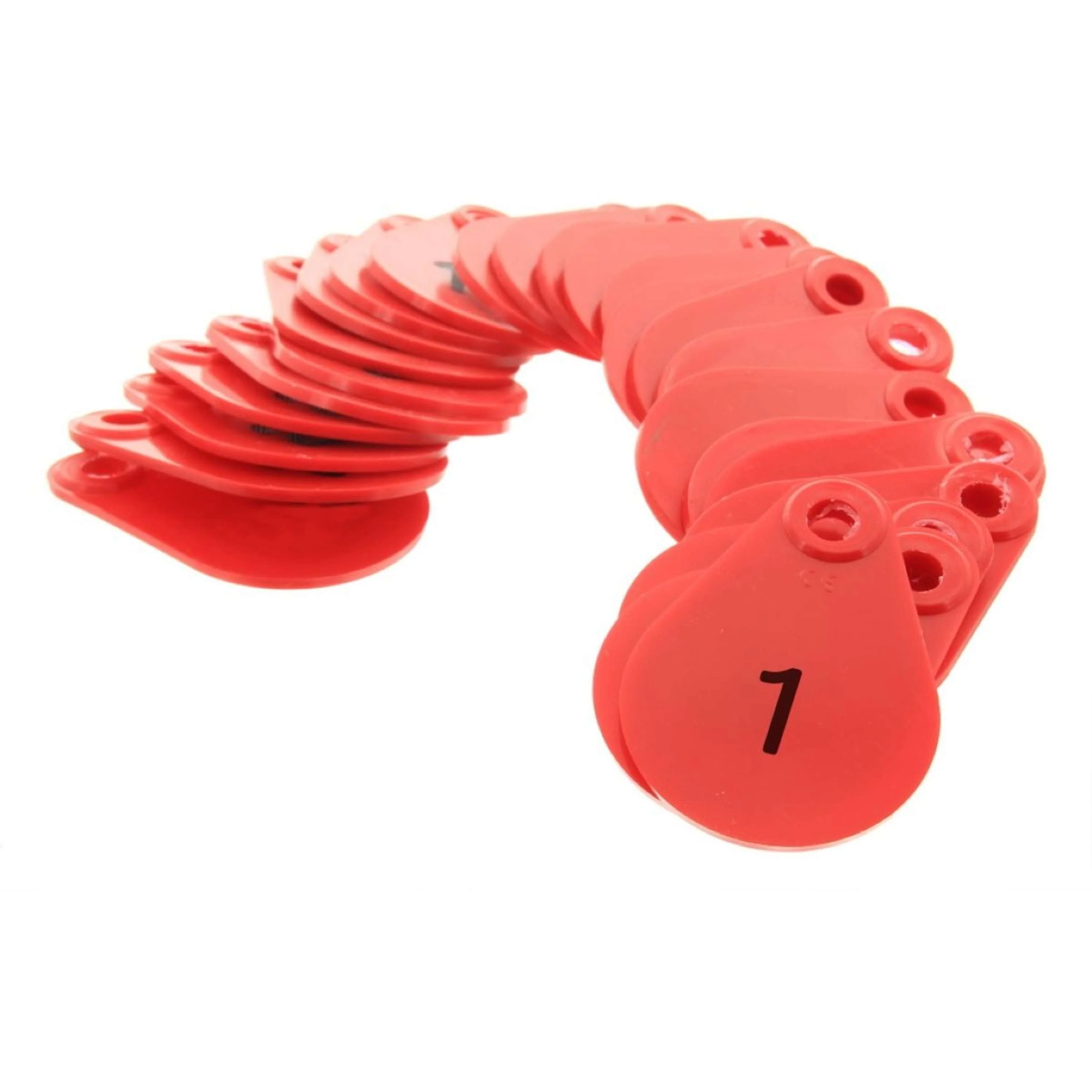 Miniatura 1