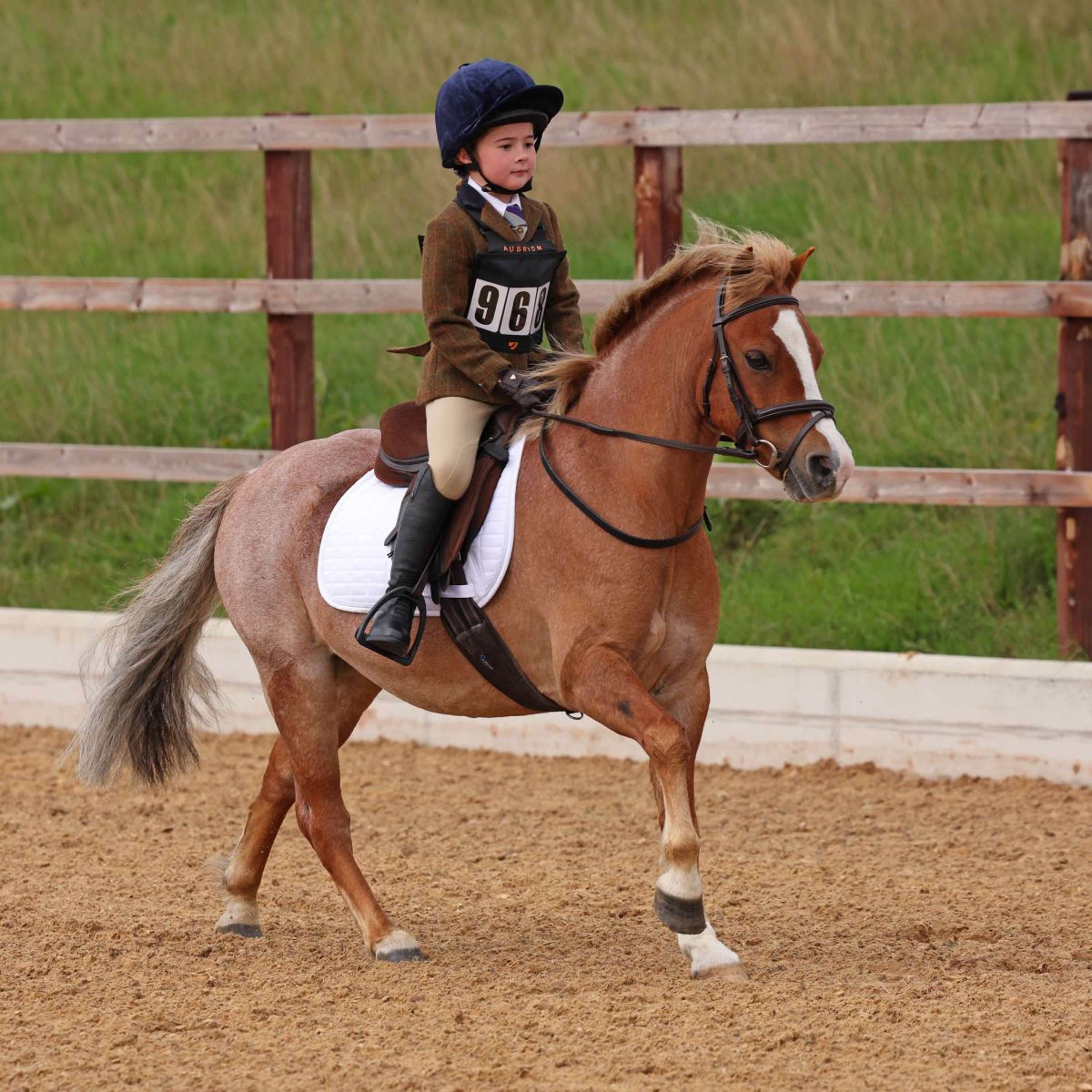Aubrion by Shires Giacca da Competizione Saratoga Bambini Ruggine Check - Image 16