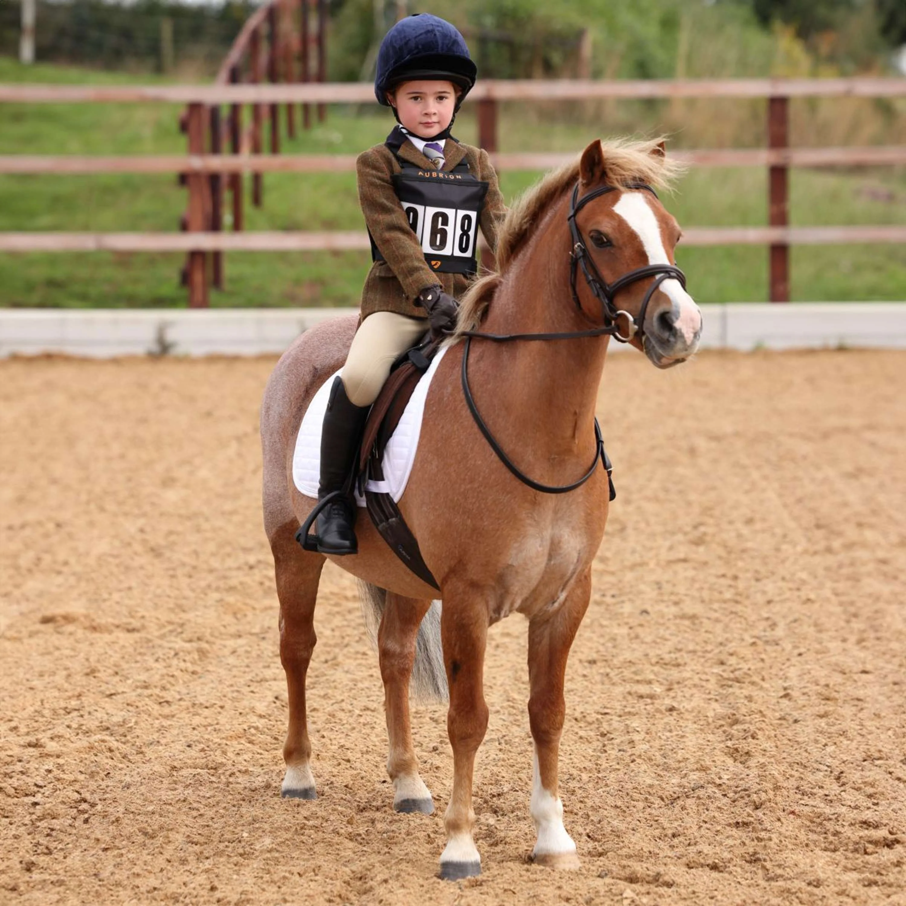 Aubrion by Shires Giacca da Competizione Saratoga Bambini Ruggine Check - Image 2