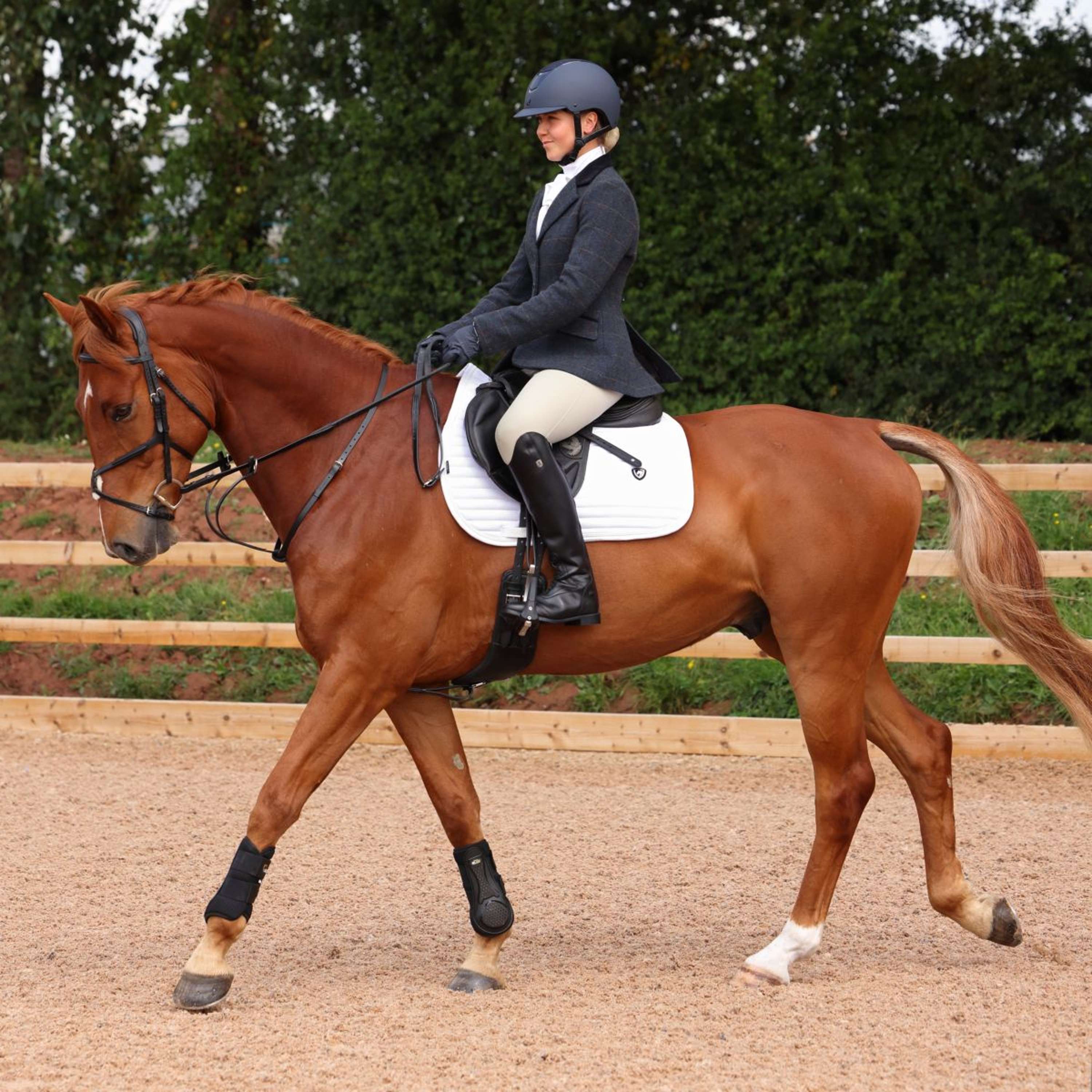 Aubrion by Shires Giacca da Competizione Saratoga Juniper Navy Check - Image 11