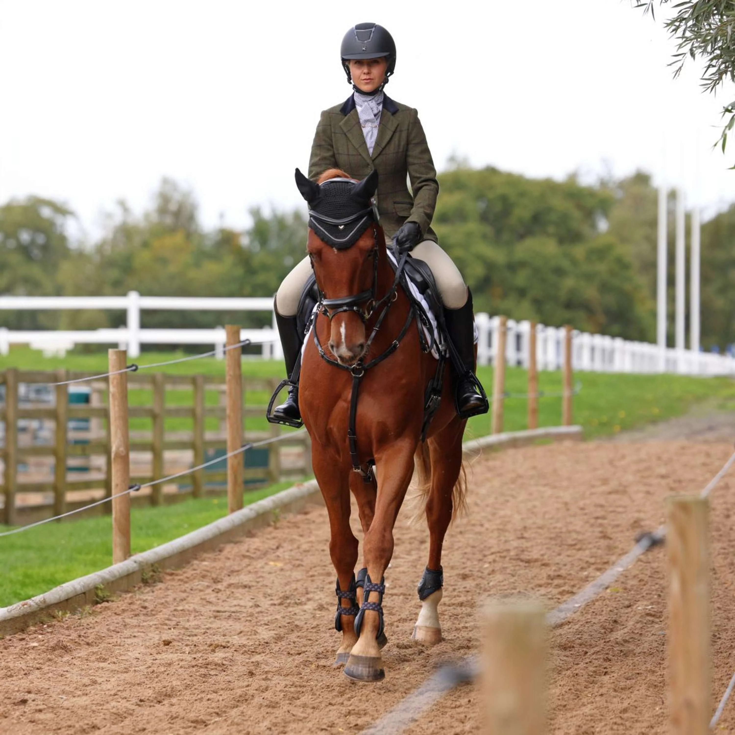 Aubrion by Shires Giacca da Competizione Saratoga Spruce Verde Check - Image 3