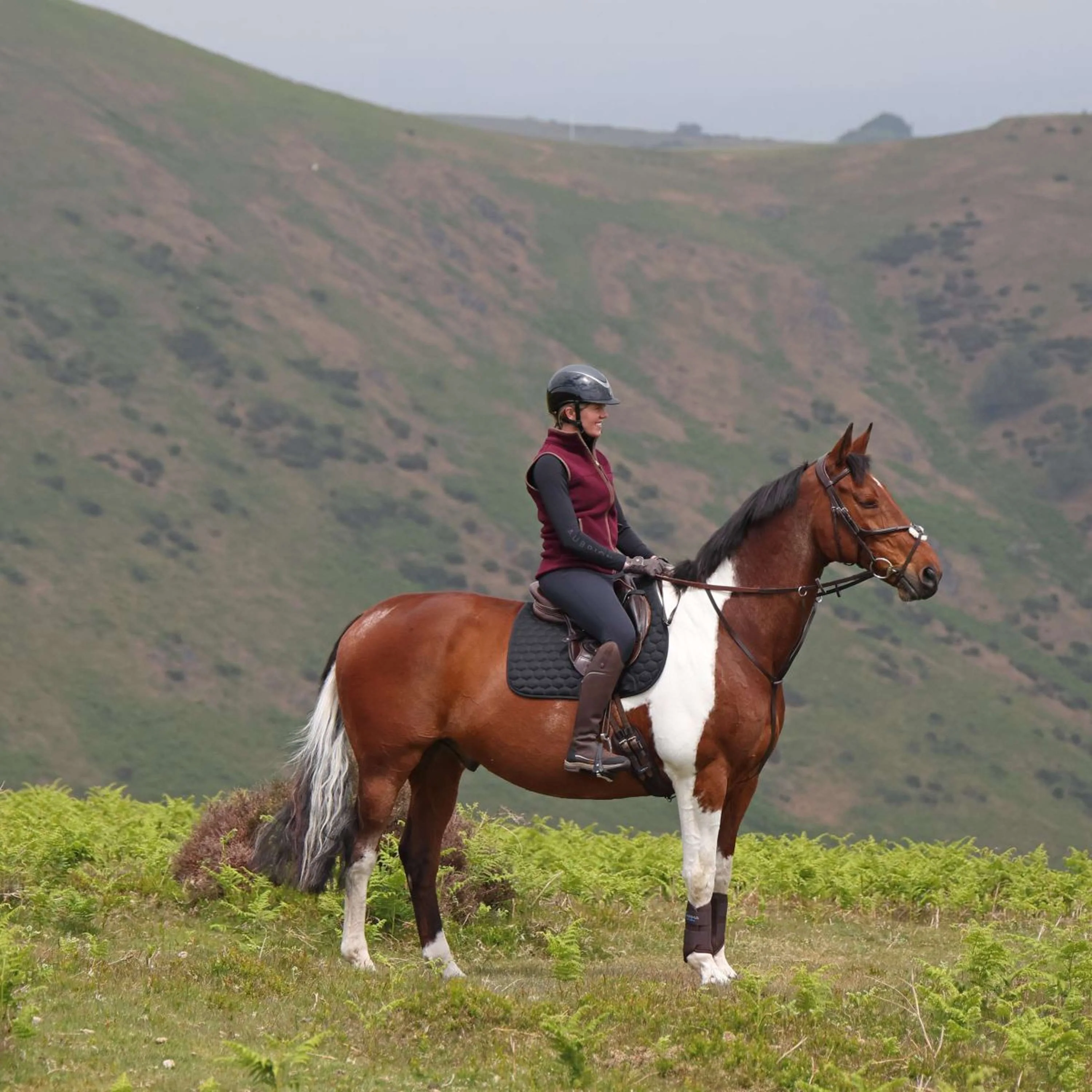 Aubrion by Shires Gilet Original Fleece Maroon - Image 15