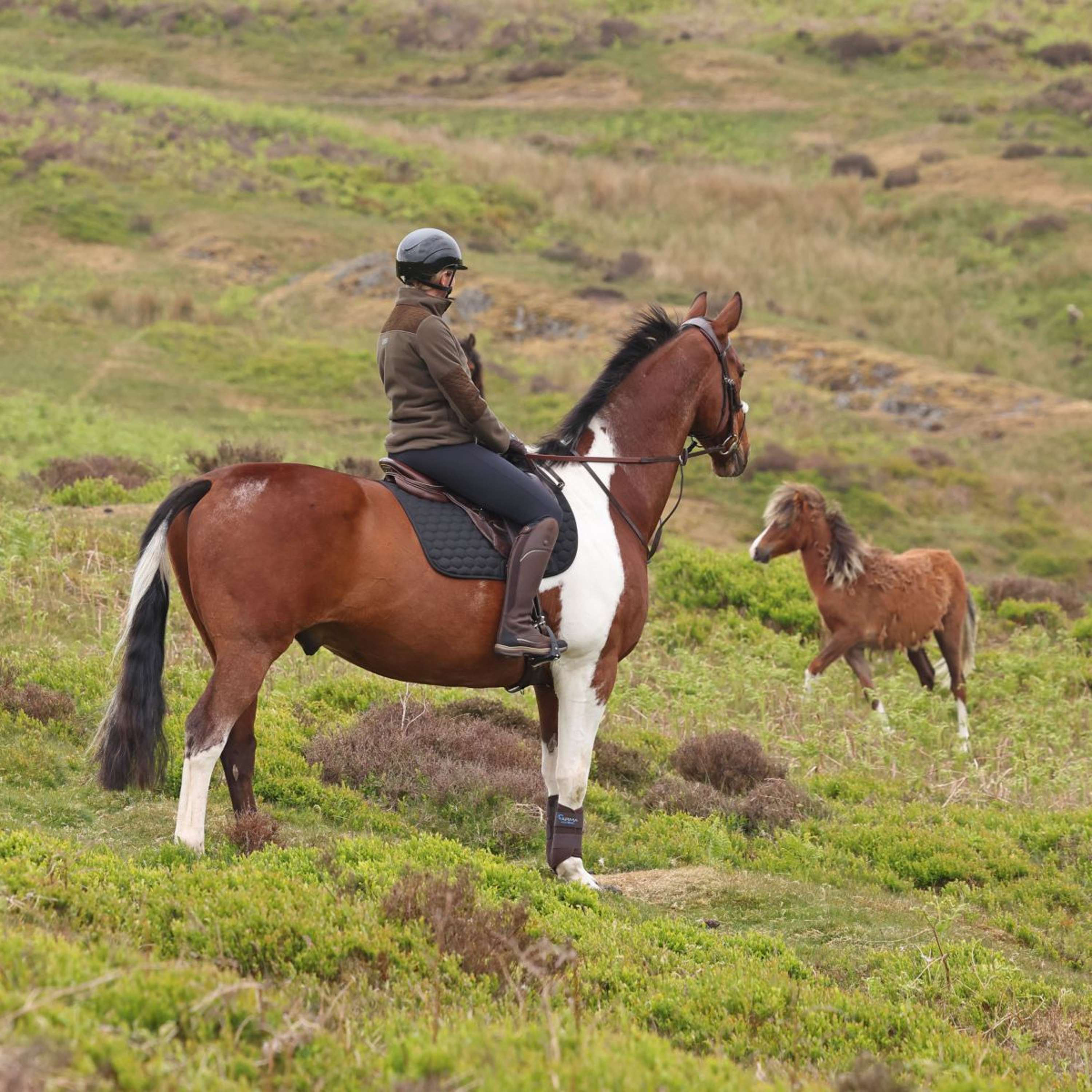 Aubrion by Shires Maglione Heritage Fleece Oliva scura - Image 18