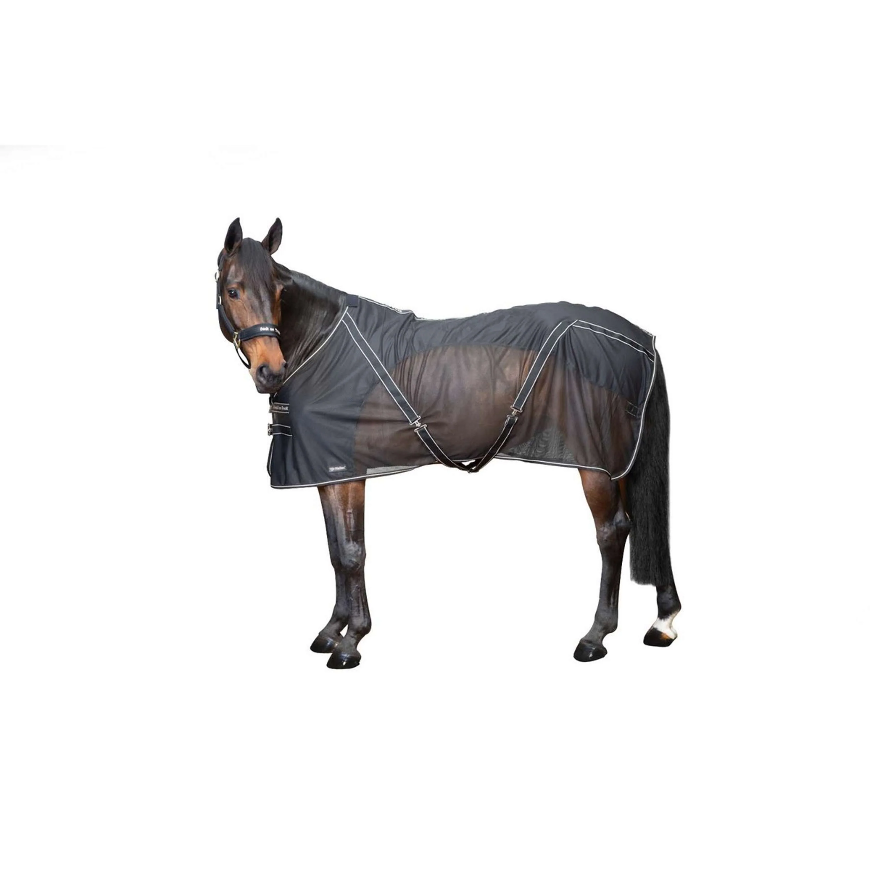 Back on Track Coperta Antimosche Sienna Nero - Image 7
