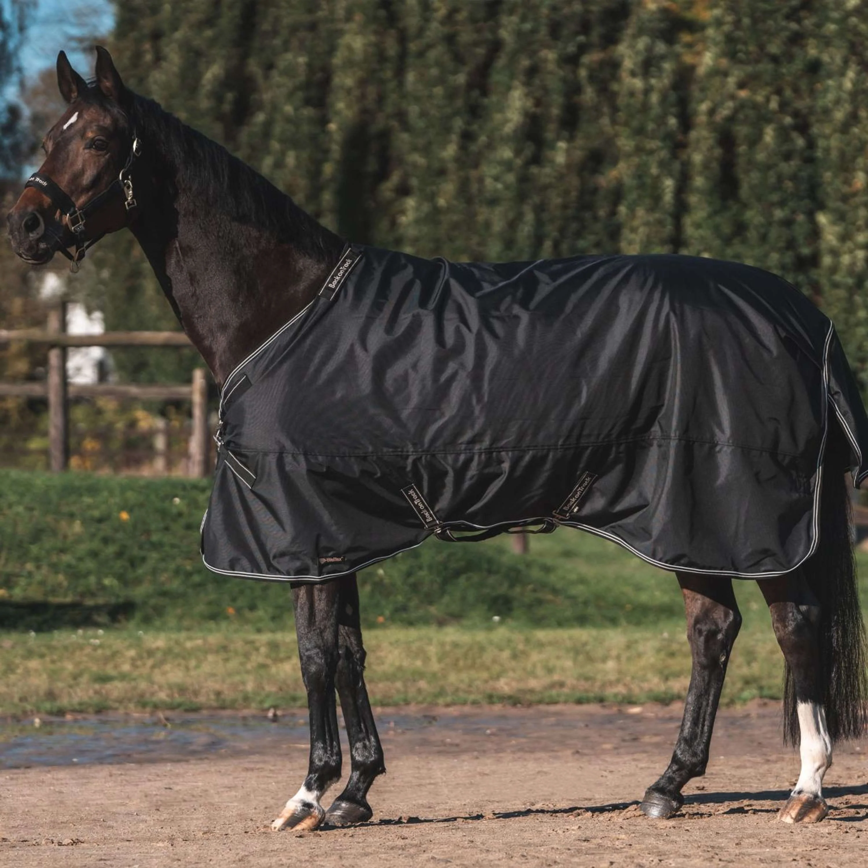 Back on Track Coperta da esterno Obsidian 300g con collo staccabile Nero - Image 3