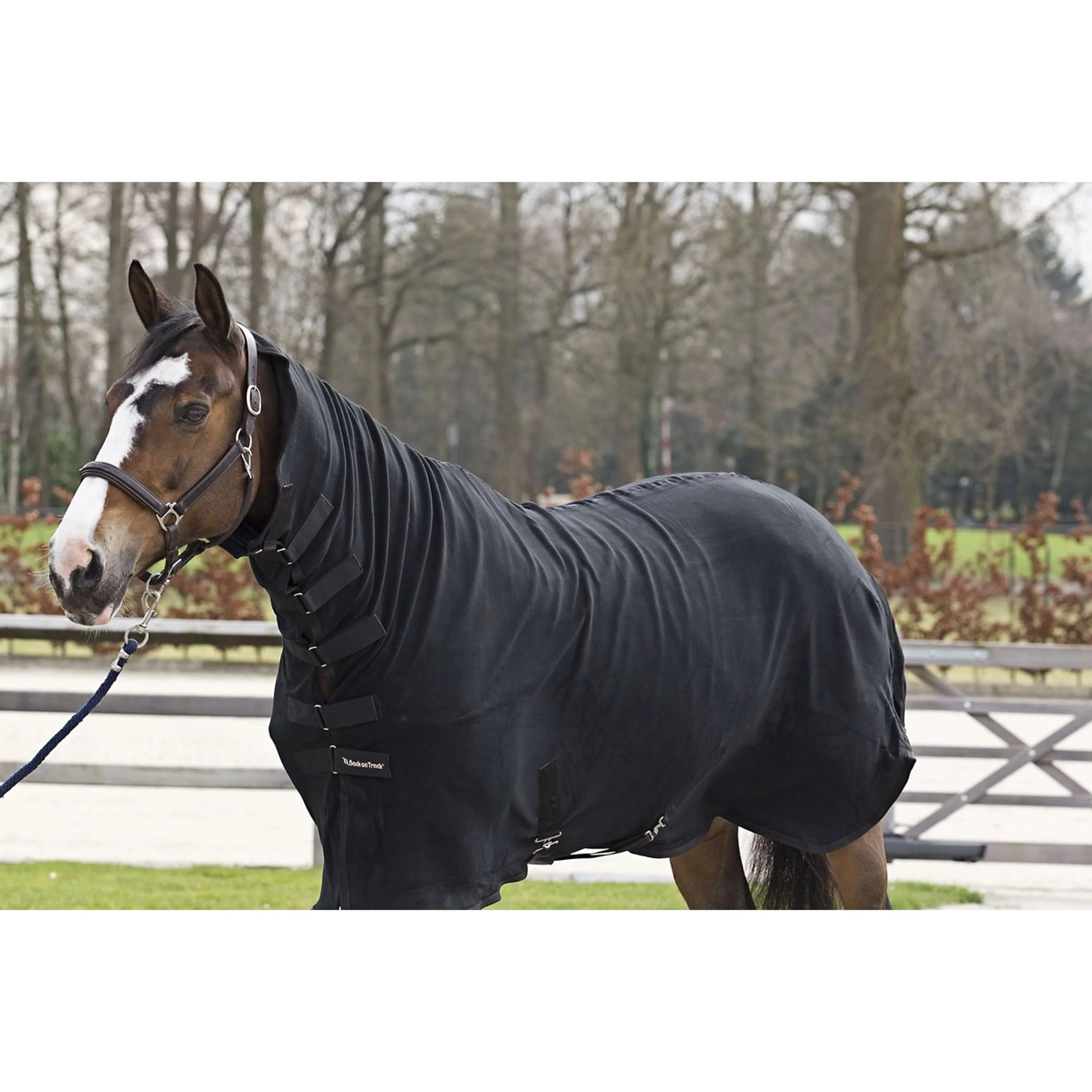 Back on Track Coperta in Pile Supreme Nero - Image 8