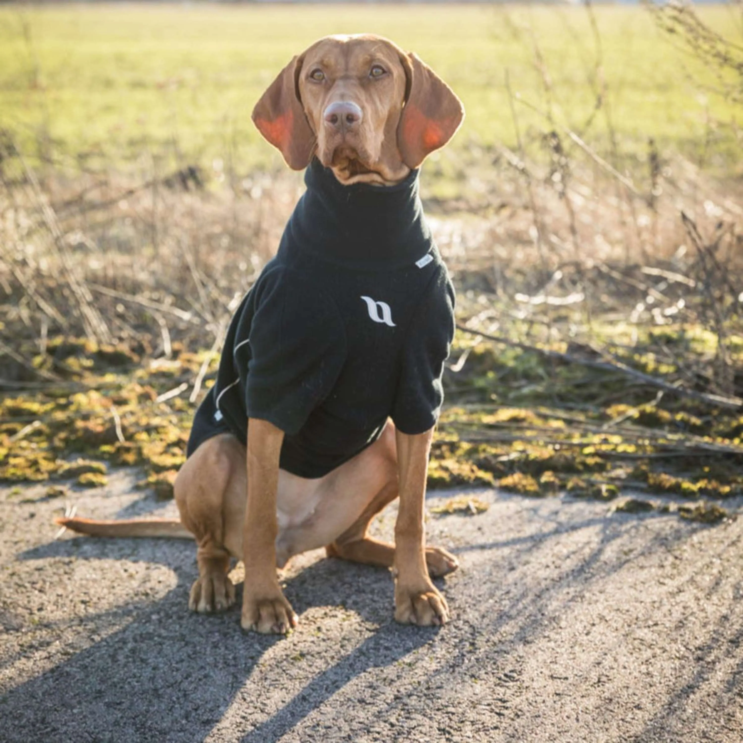 Back on Track Coperta per Cani Cassie All-Weather Jumper Nero - Image 10
