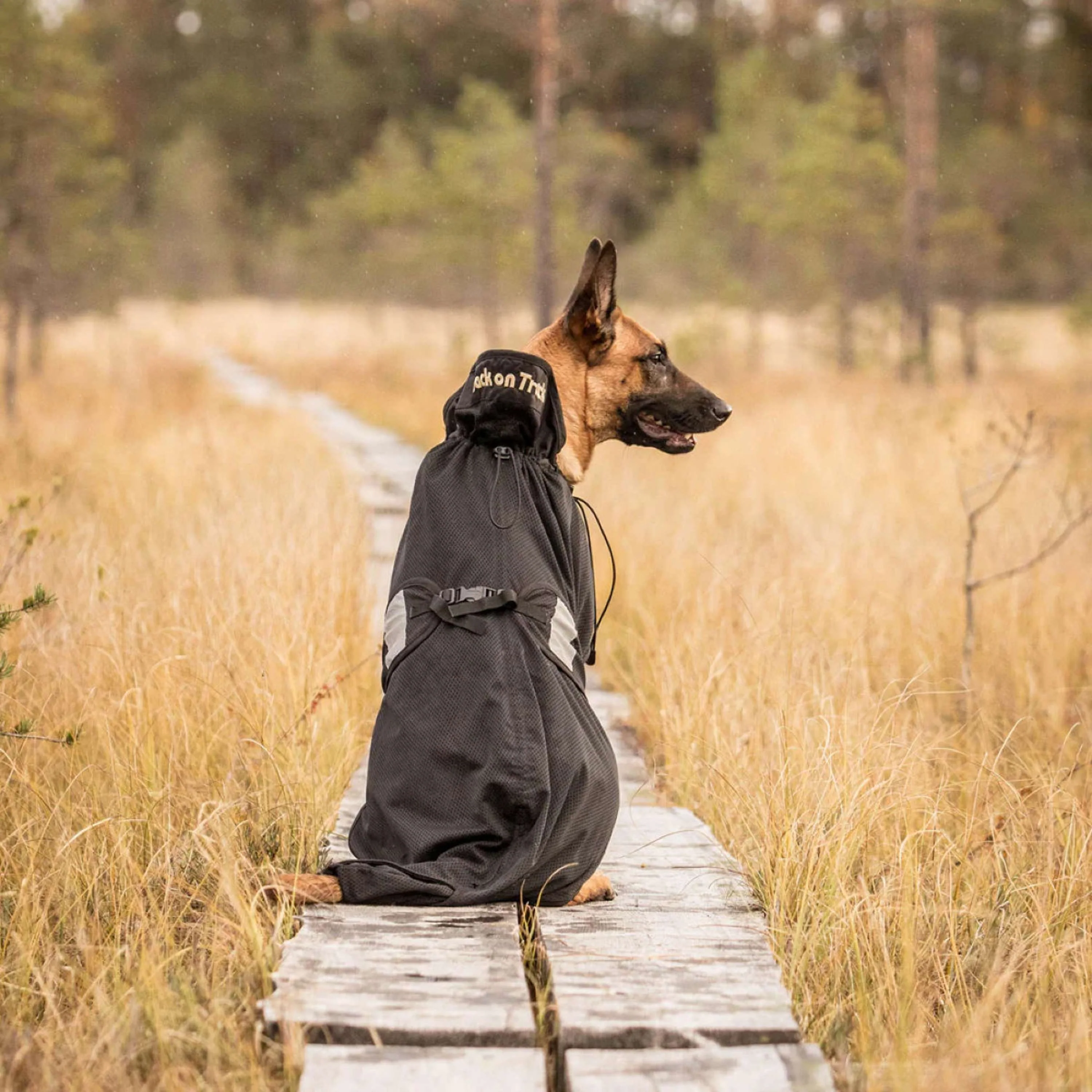 Back on Track Coperta per Cani Nero - Image 2
