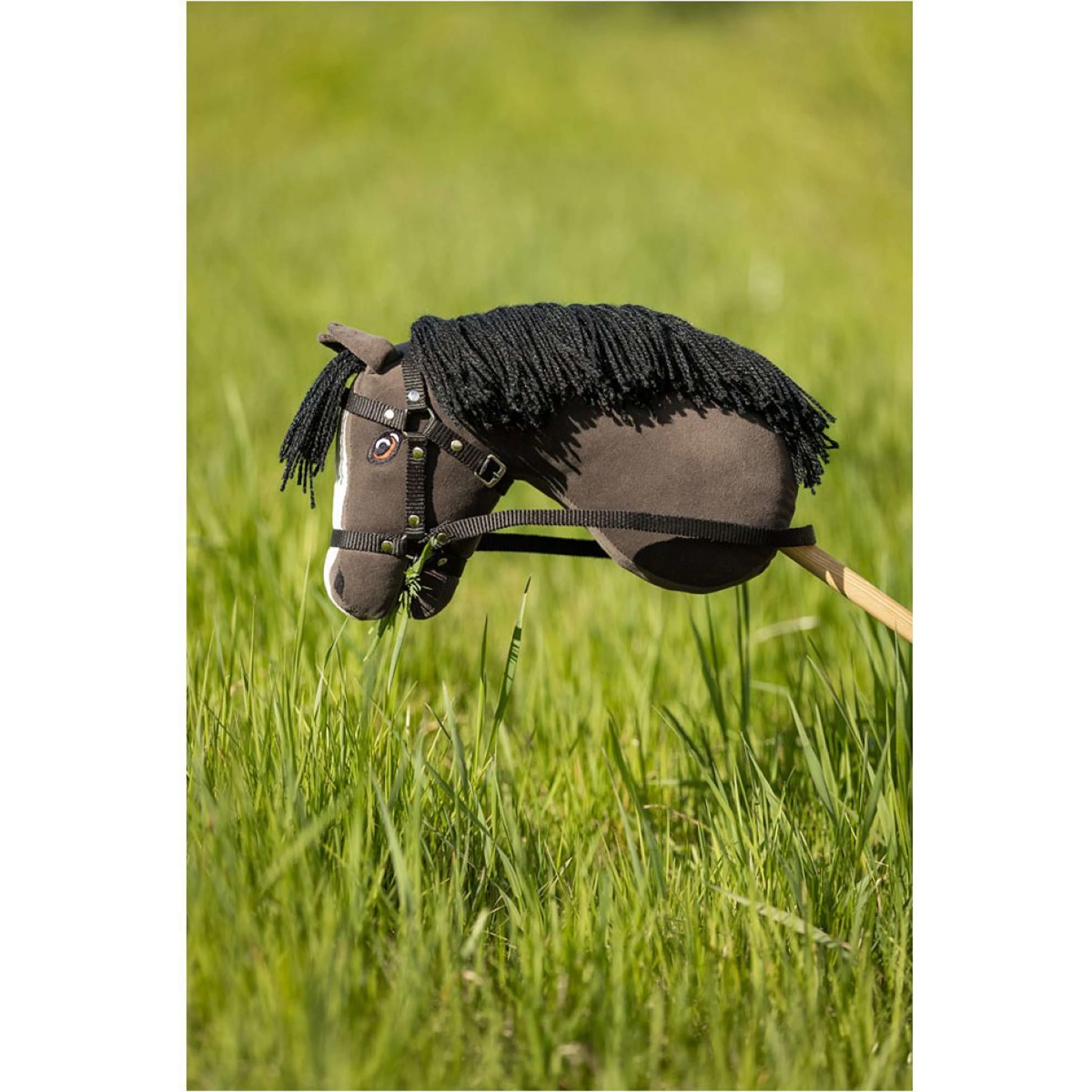 BR Mini Horse Cavallo a dondolo Nero - Image 3
