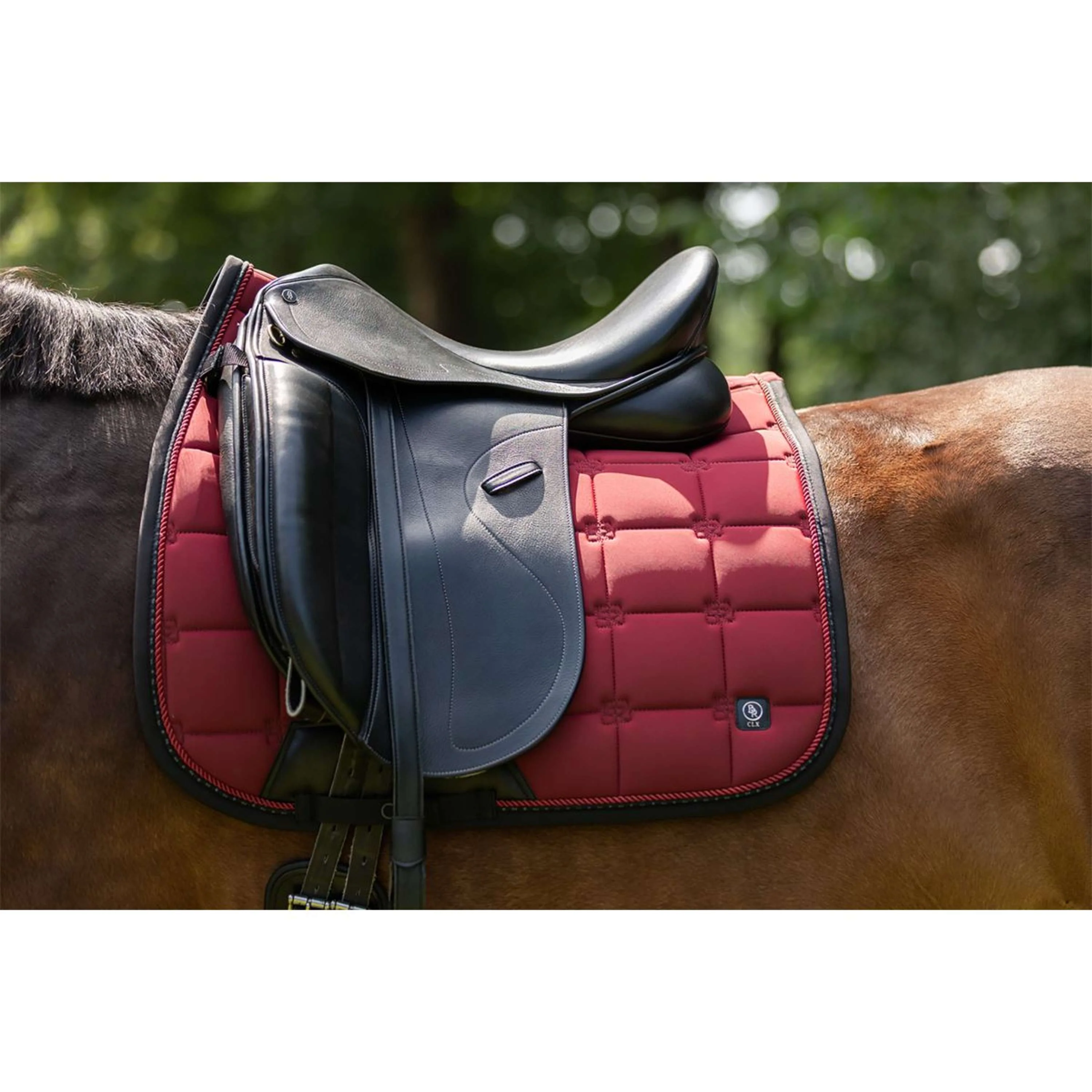 BR Sottosella CLX Dressage Cabernet - Image 7