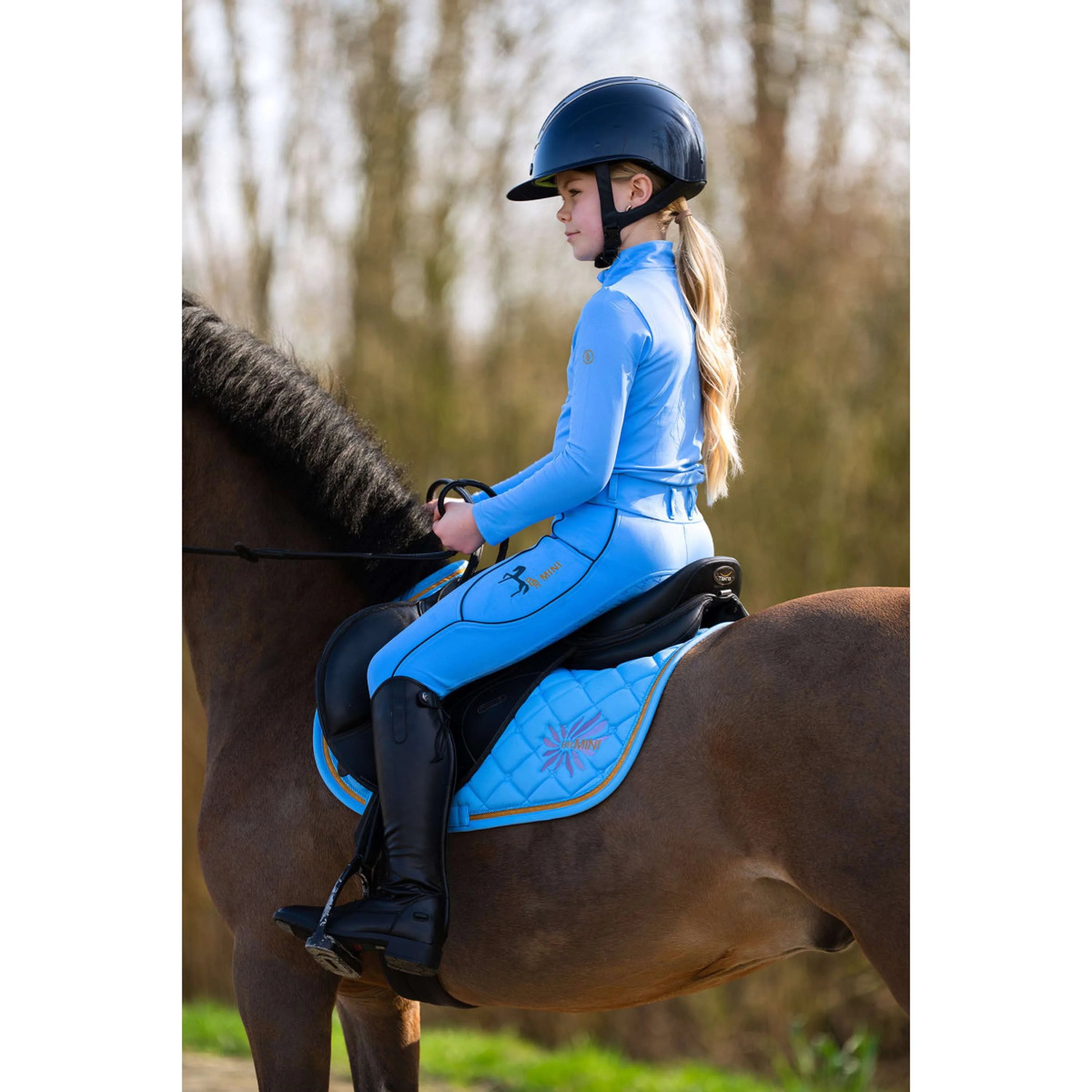 BR Sottosella Mini Horse Little Blue - Image 2