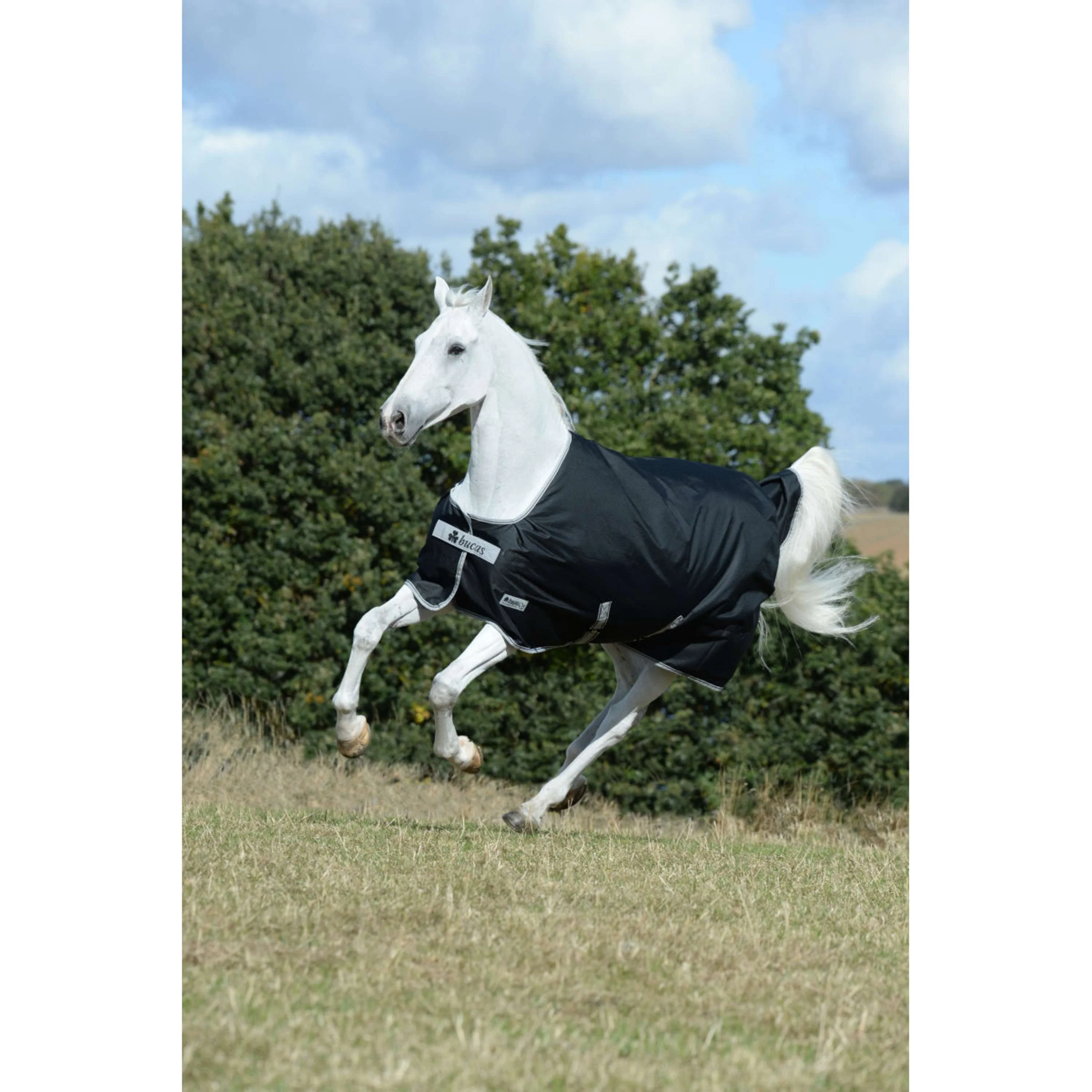 Bucas Anniversary Turnout Stay-dry 100g Sapphire - Image 6