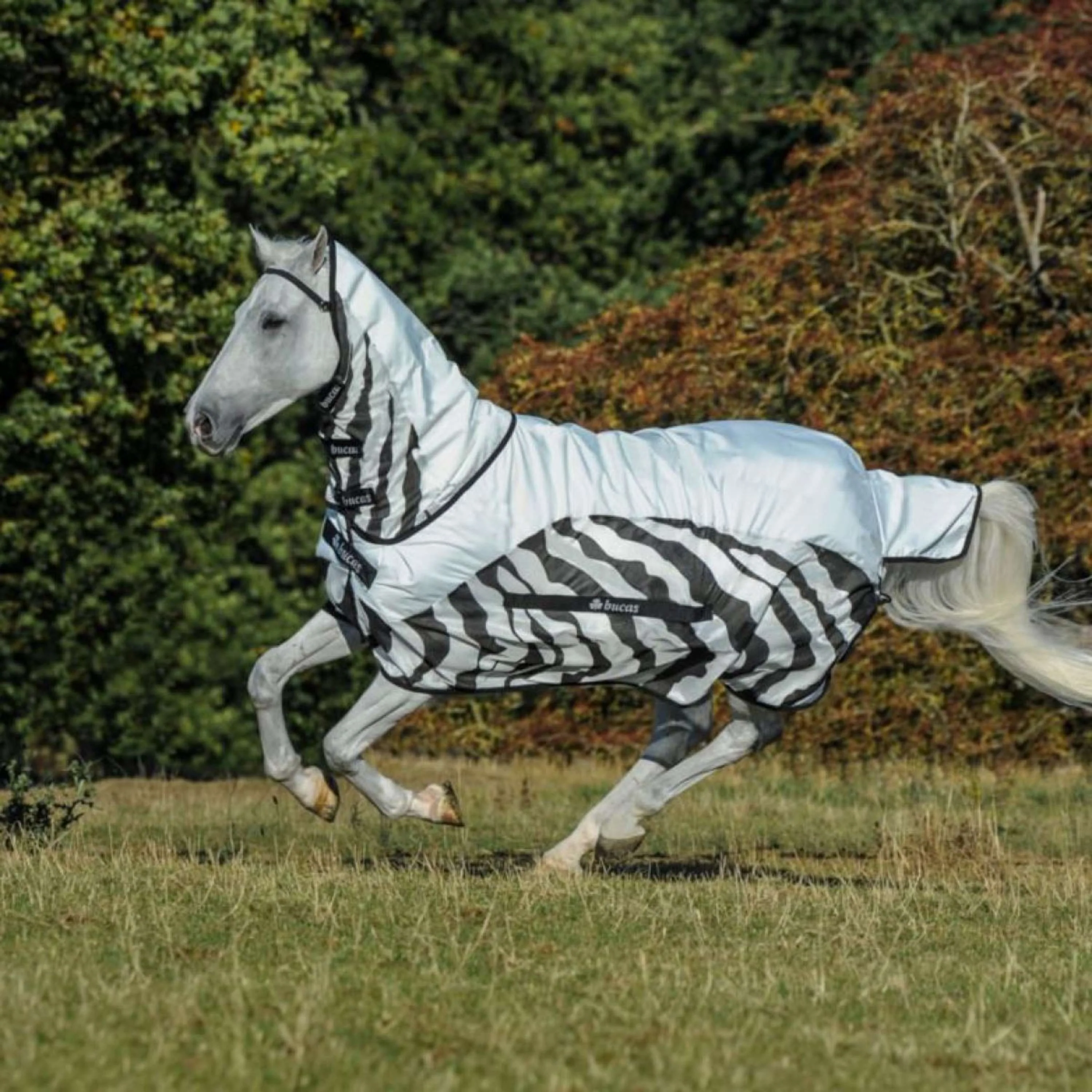 Bucas Buzz Off Rain & Neck 0g Zebra - Image 2