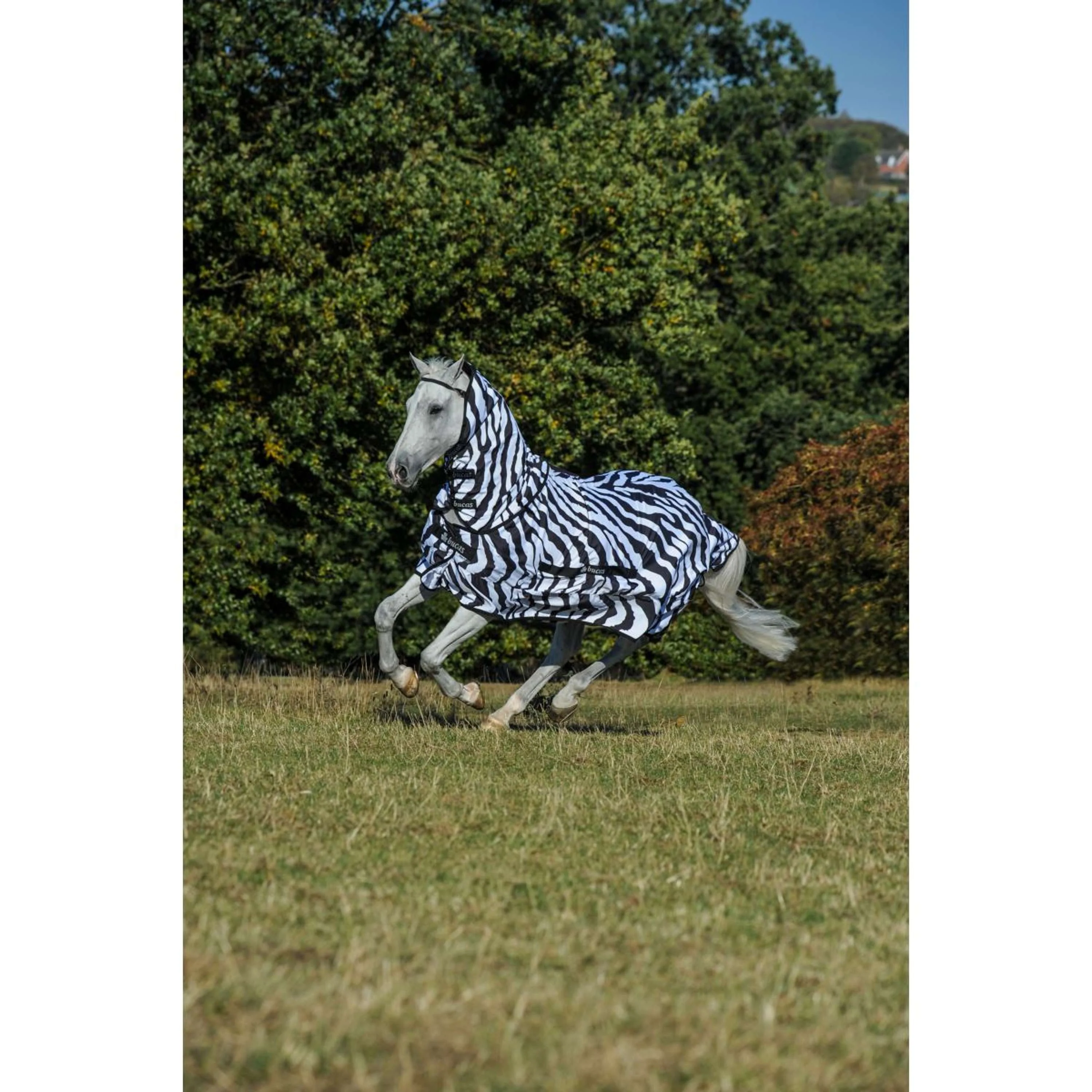 Bucas Coperta per Eczema Zebra - Image 3