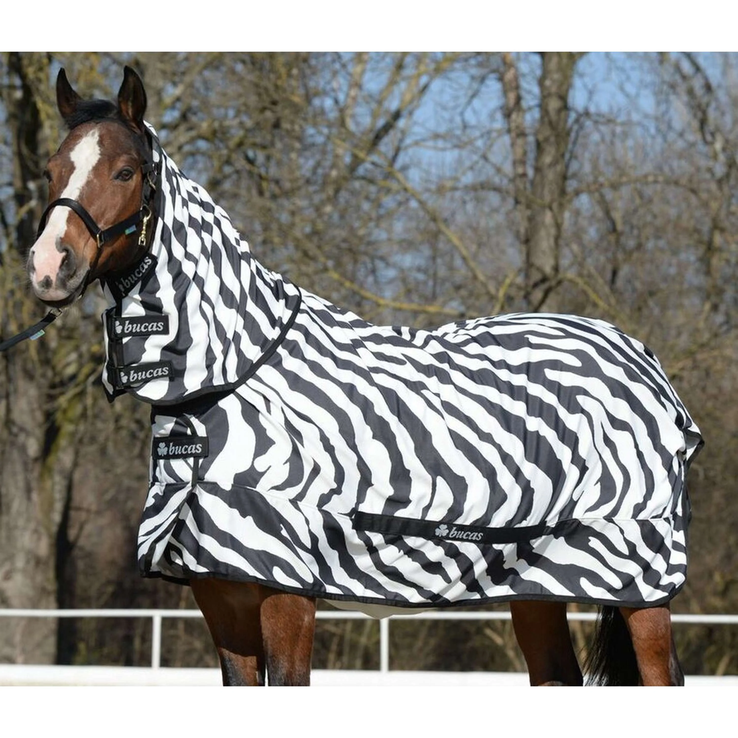 Bucas Coperta per Eczema Zebra - Image 4
