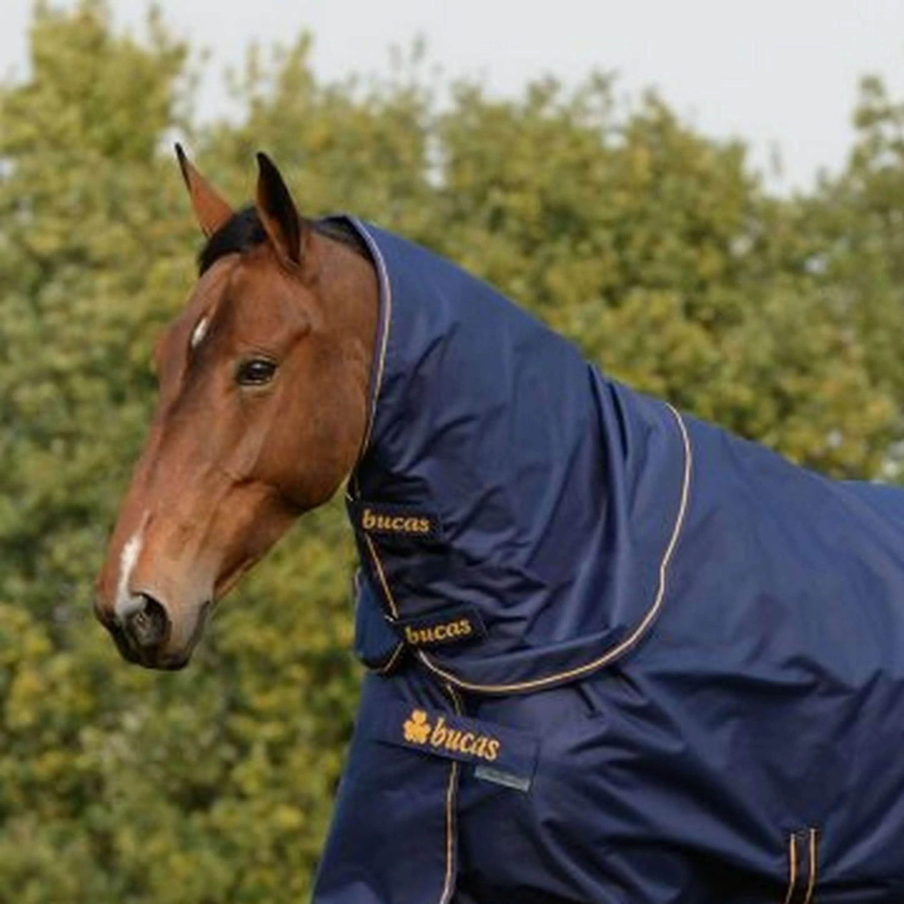 Bucas Copricollo Irish Tunrout Combi Neck 300g Navy/Gold - Image 8