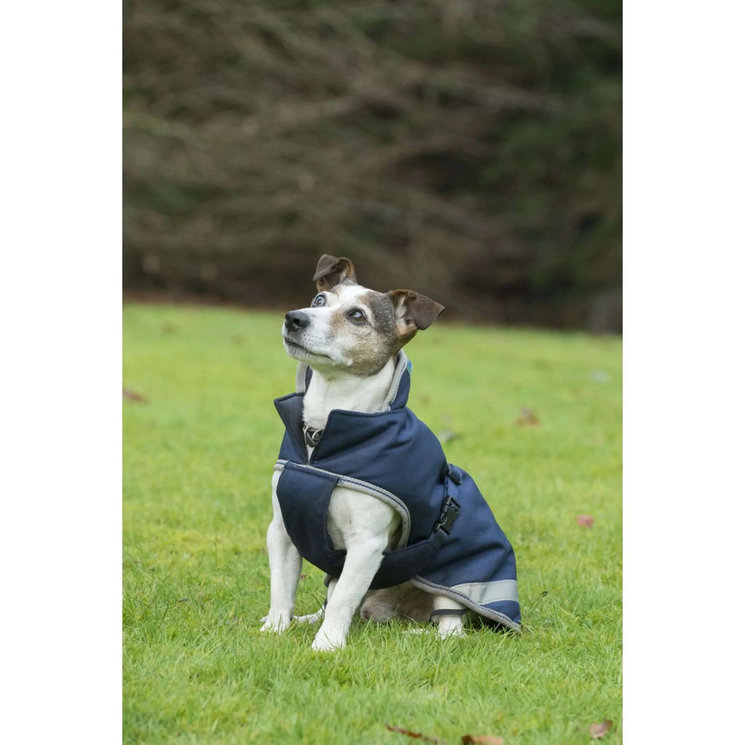 Bucas Coperta per Cani Navy - Image 12