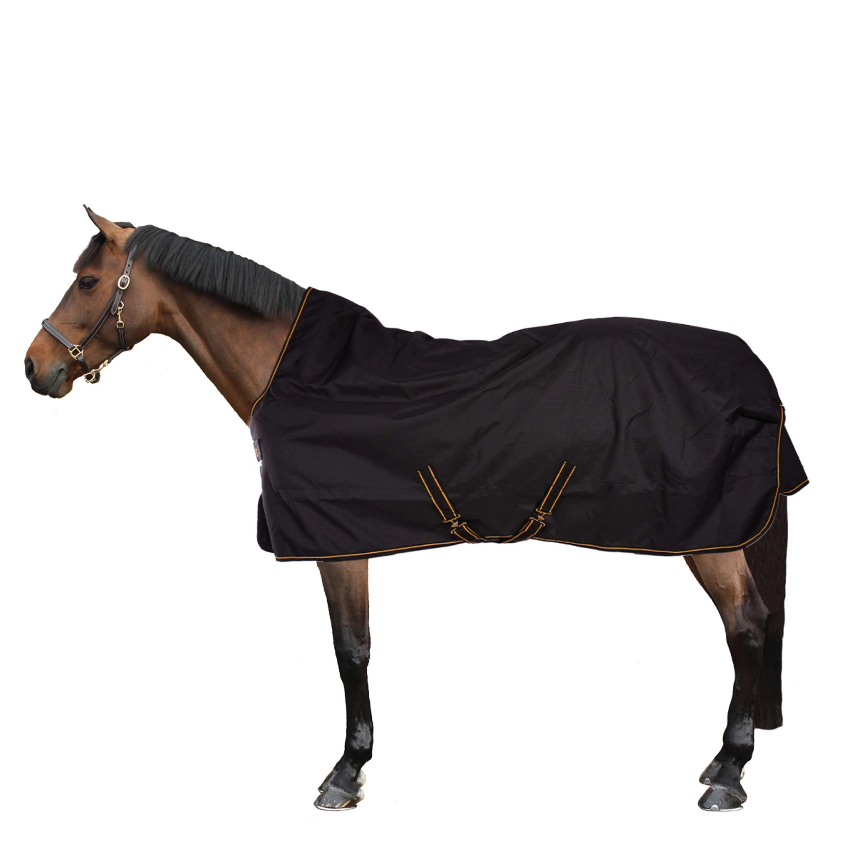Bucas Irish Turnout Extra High Neck 300g Nero/Oro - Image 2