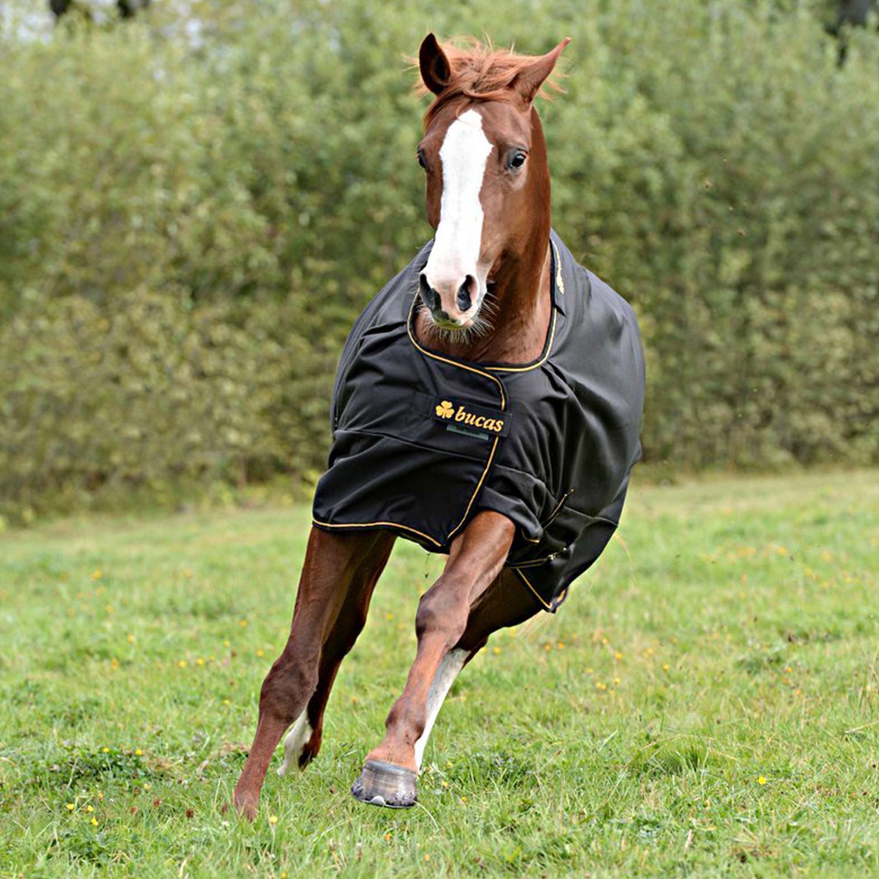 Bucas Irish Turnout Light 0g Nero/Oro