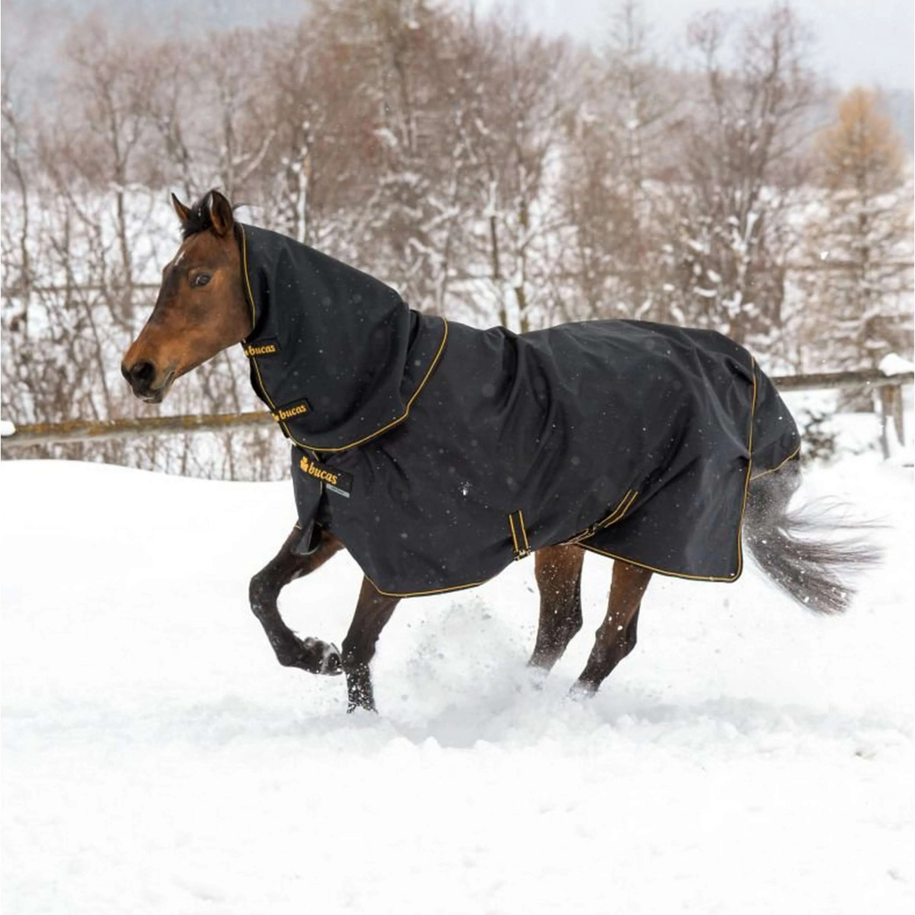 Bucas Irish Turnout Light 50g + Neck Nero/Oro - Image 2
