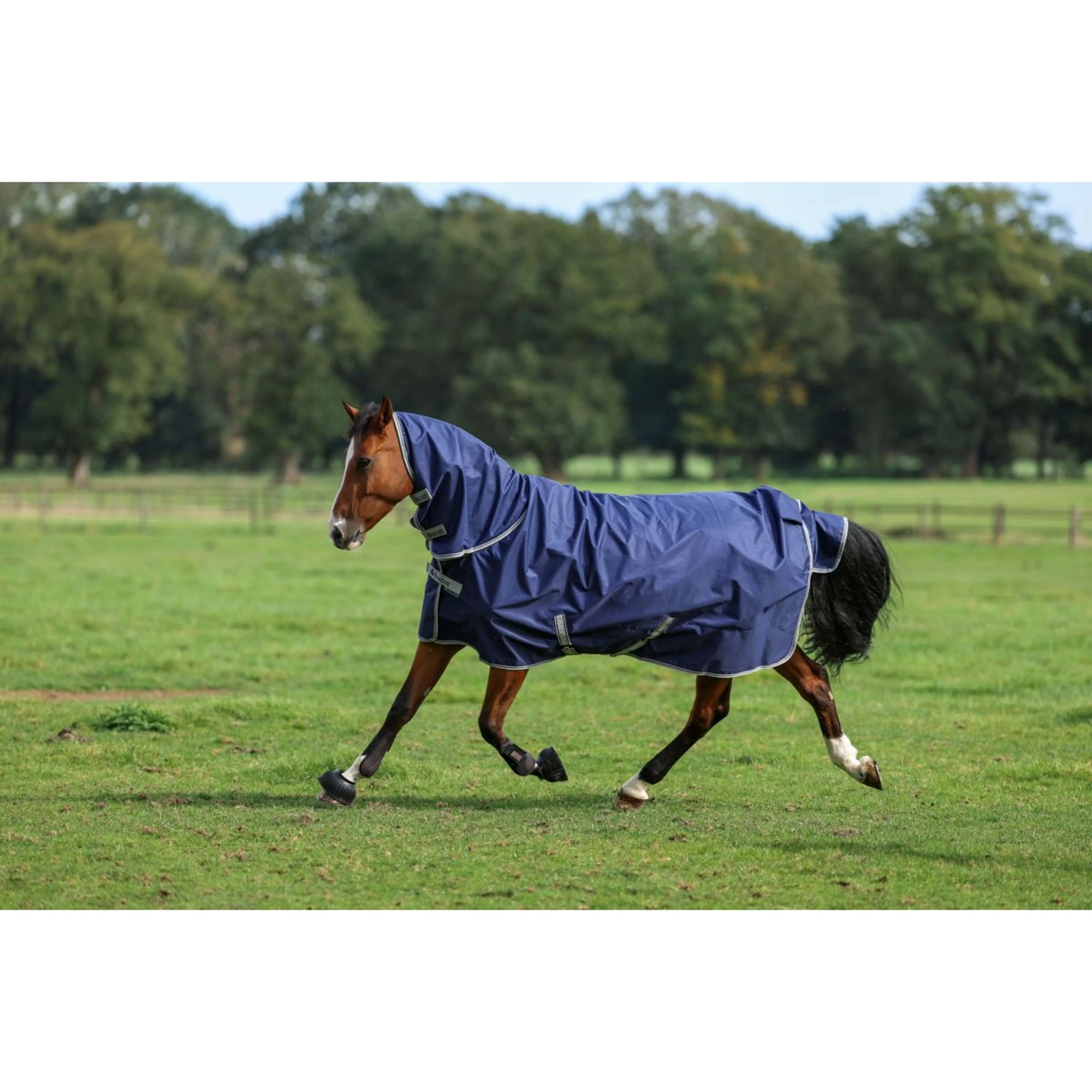 Bucas Freedom Turnout Full Neck 300g Blu marino/Argento - Image 3