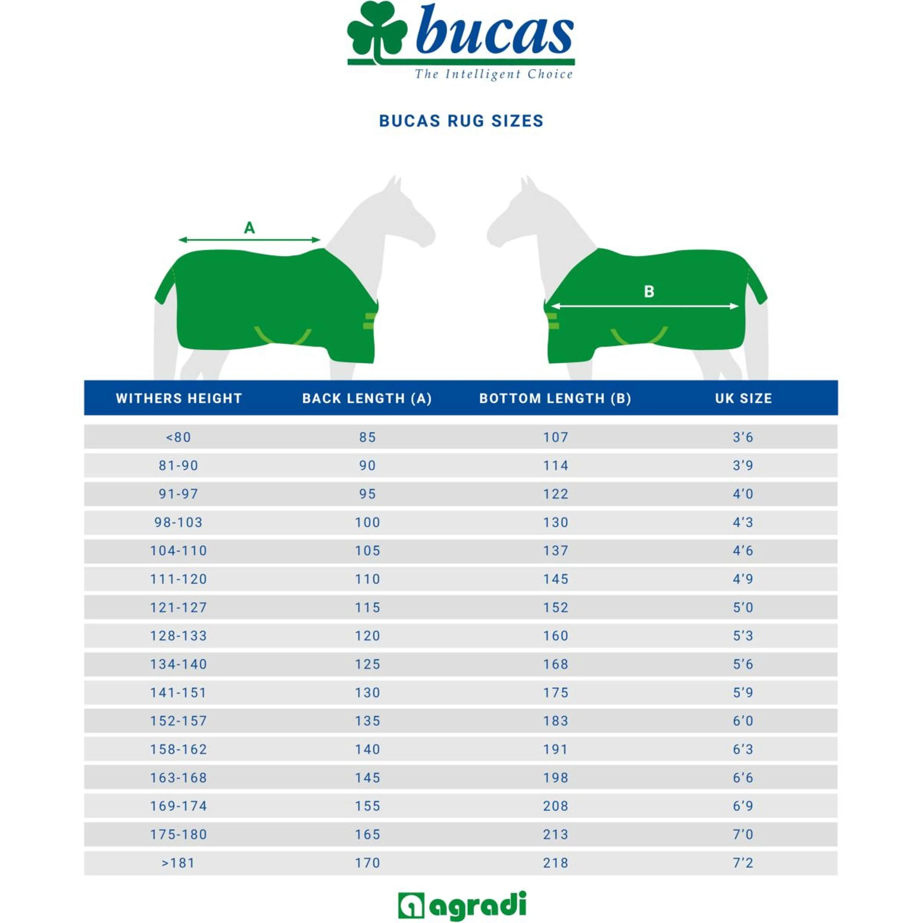 Bucas Panel Prize Cooler Blu marino/Argento - Image 9
