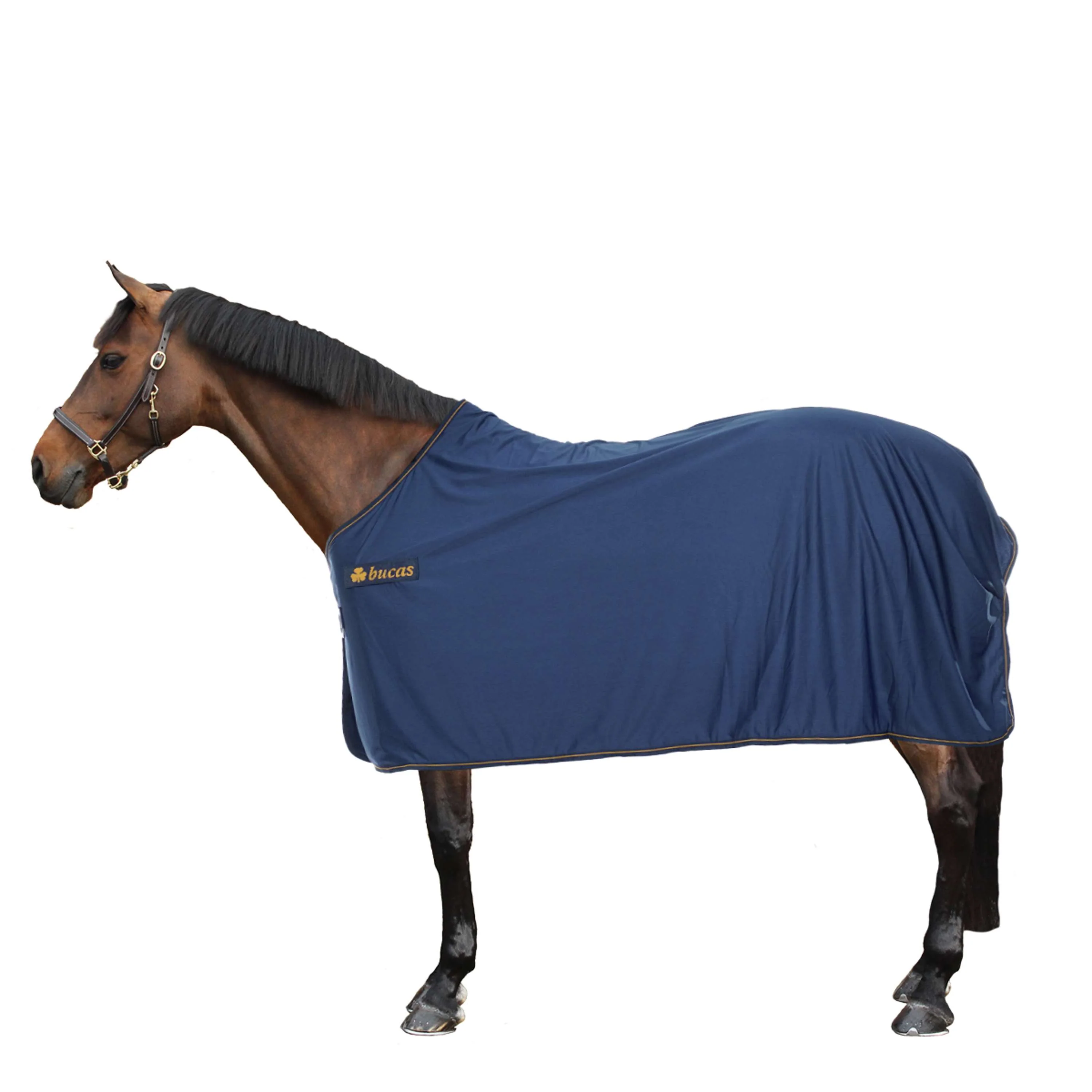 Bucas Panel Prize Cooler Navy/Gold - Image 3