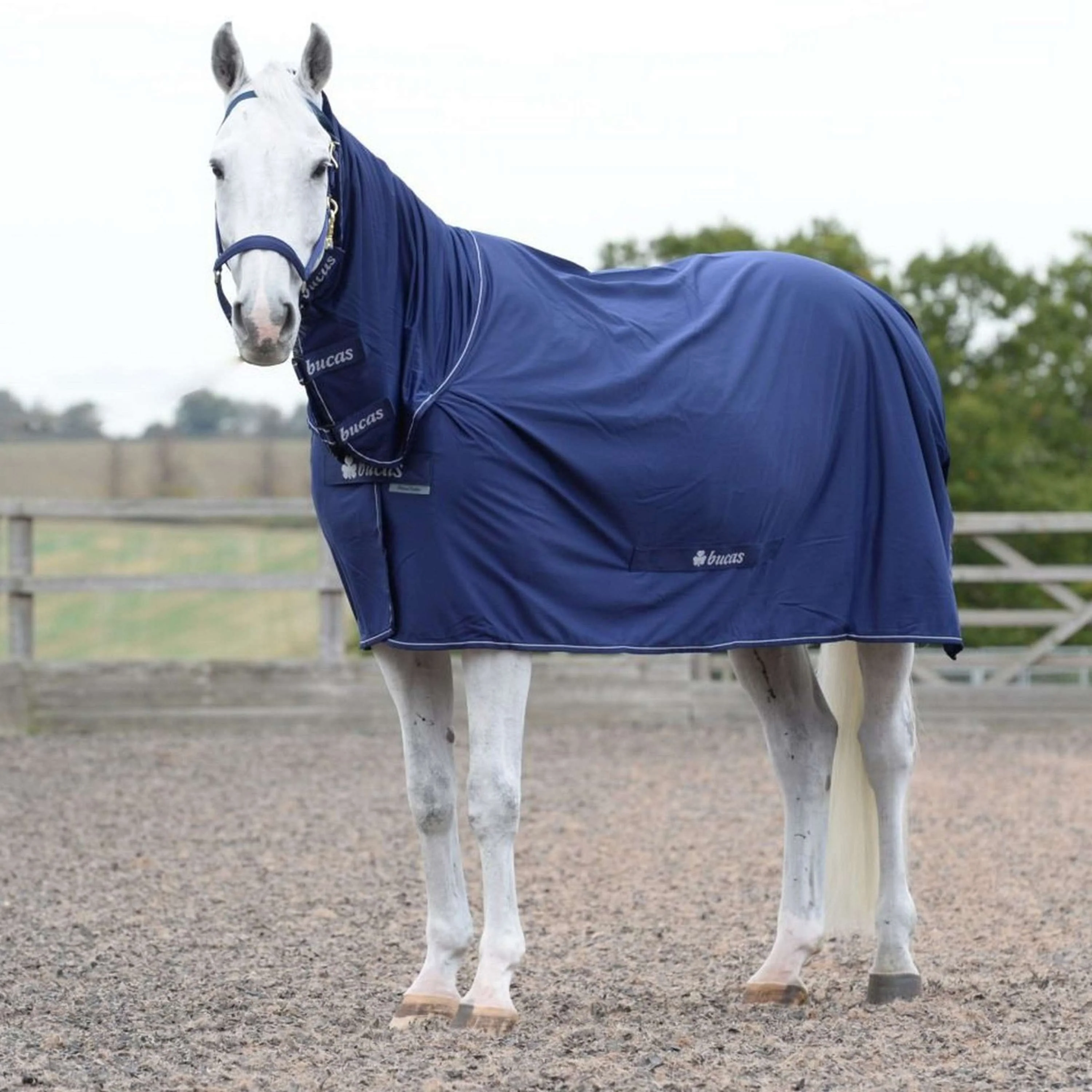Bucas Power Cooler & Neck Blu marino/Argento