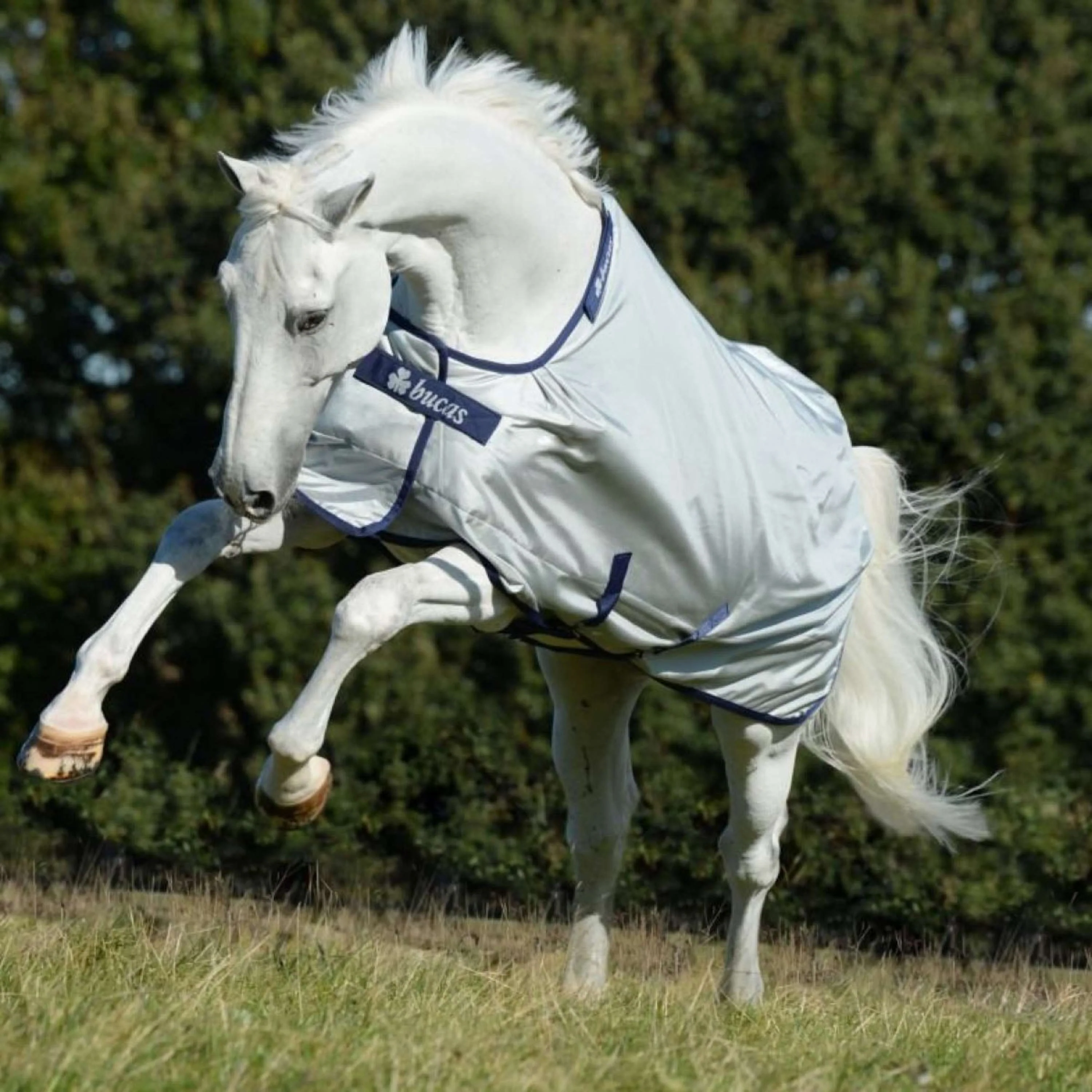 Bucas Power Turnout Extra Classic 300g Argento - Image 2