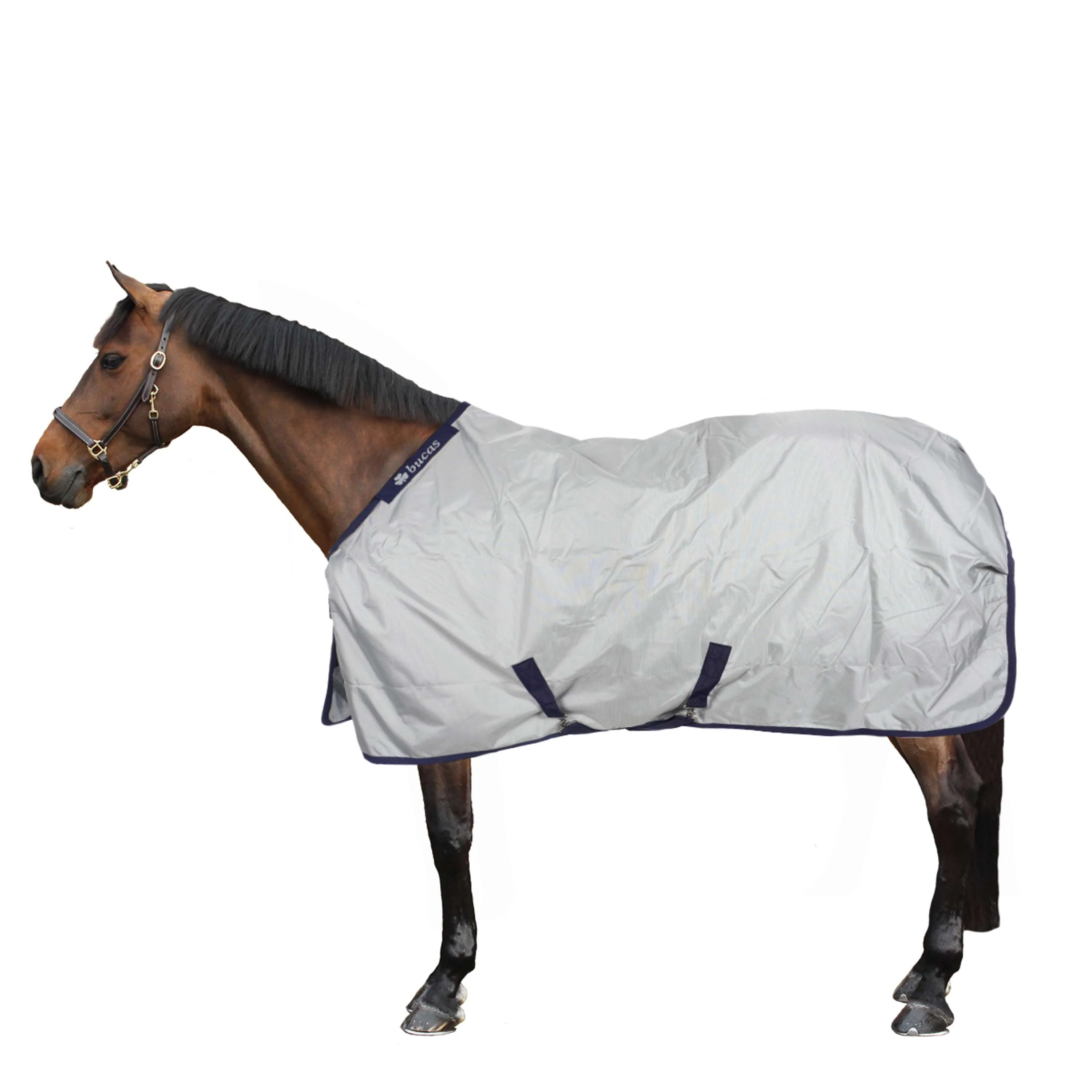 Bucas Power Turnout Light Big Neck 0g Argento - Image 2