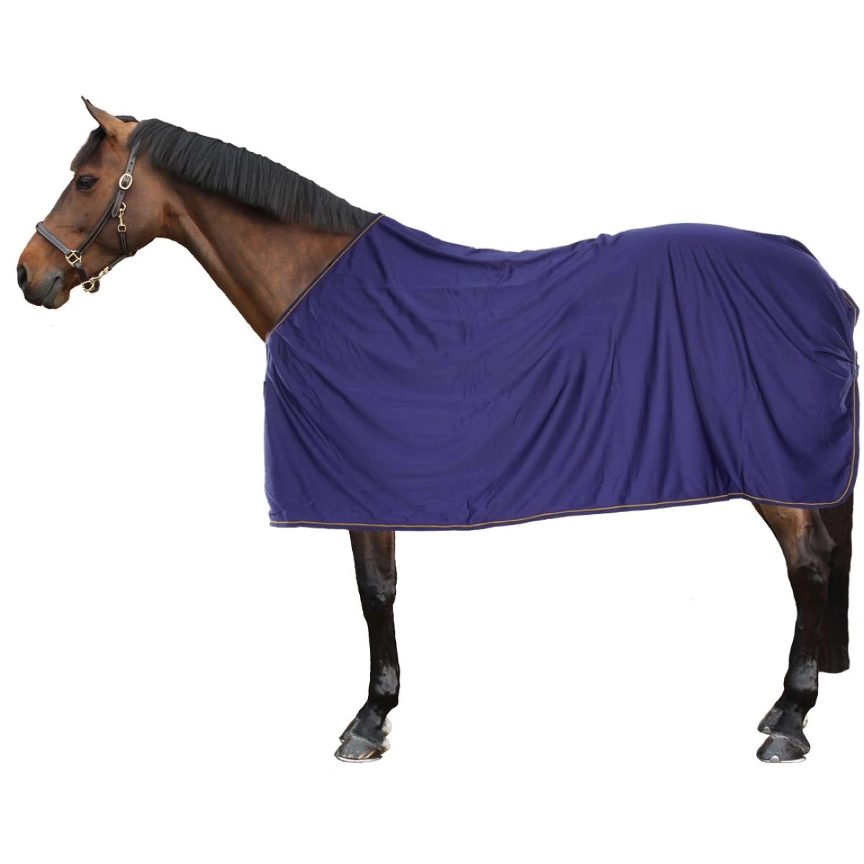 Bucas Prize Cooler Blu marino/Oro - Image 2
