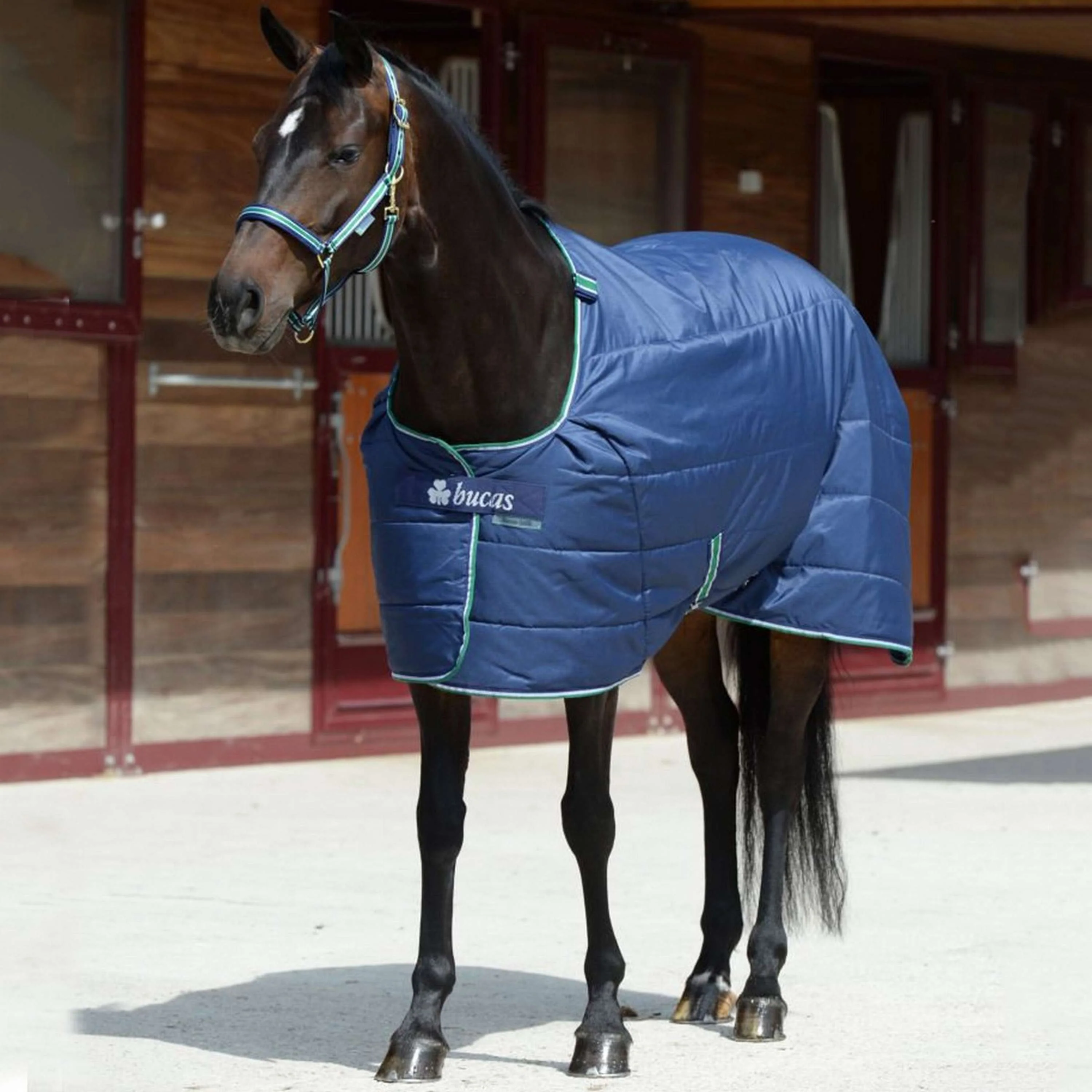 Bucas Quilt 150g SF Navy - Image 10