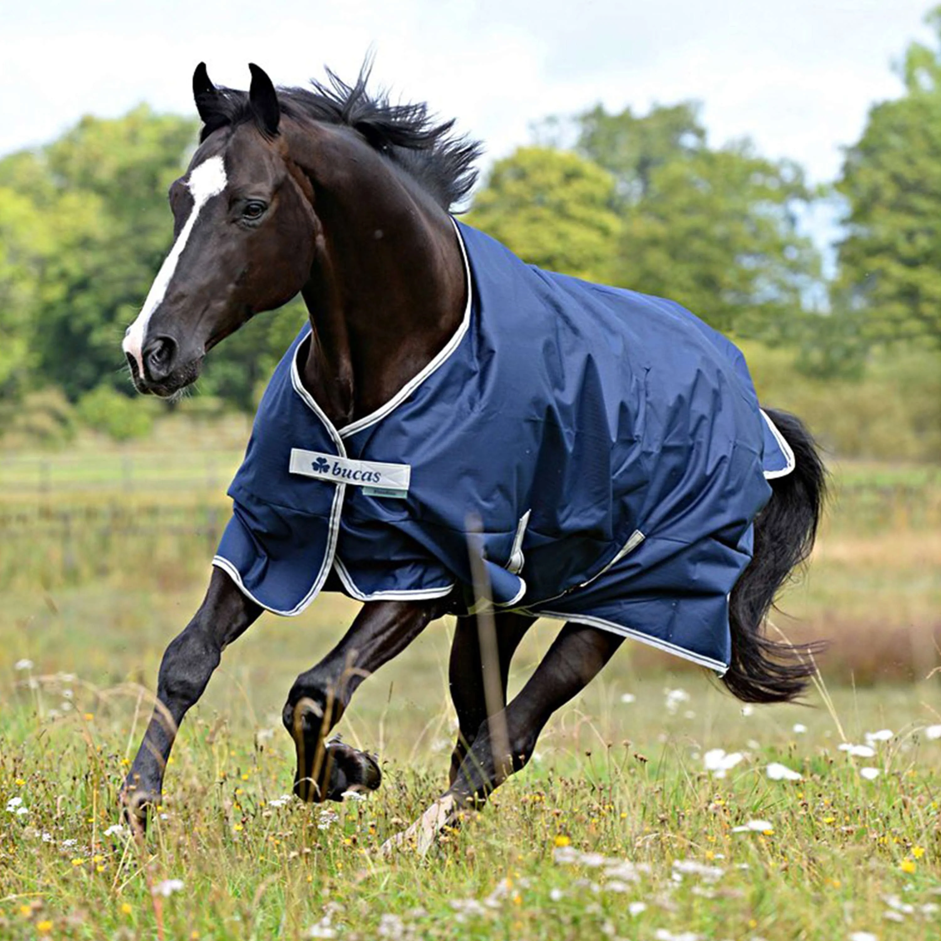Bucas Turnout Freedom 150g Navy - Image 9