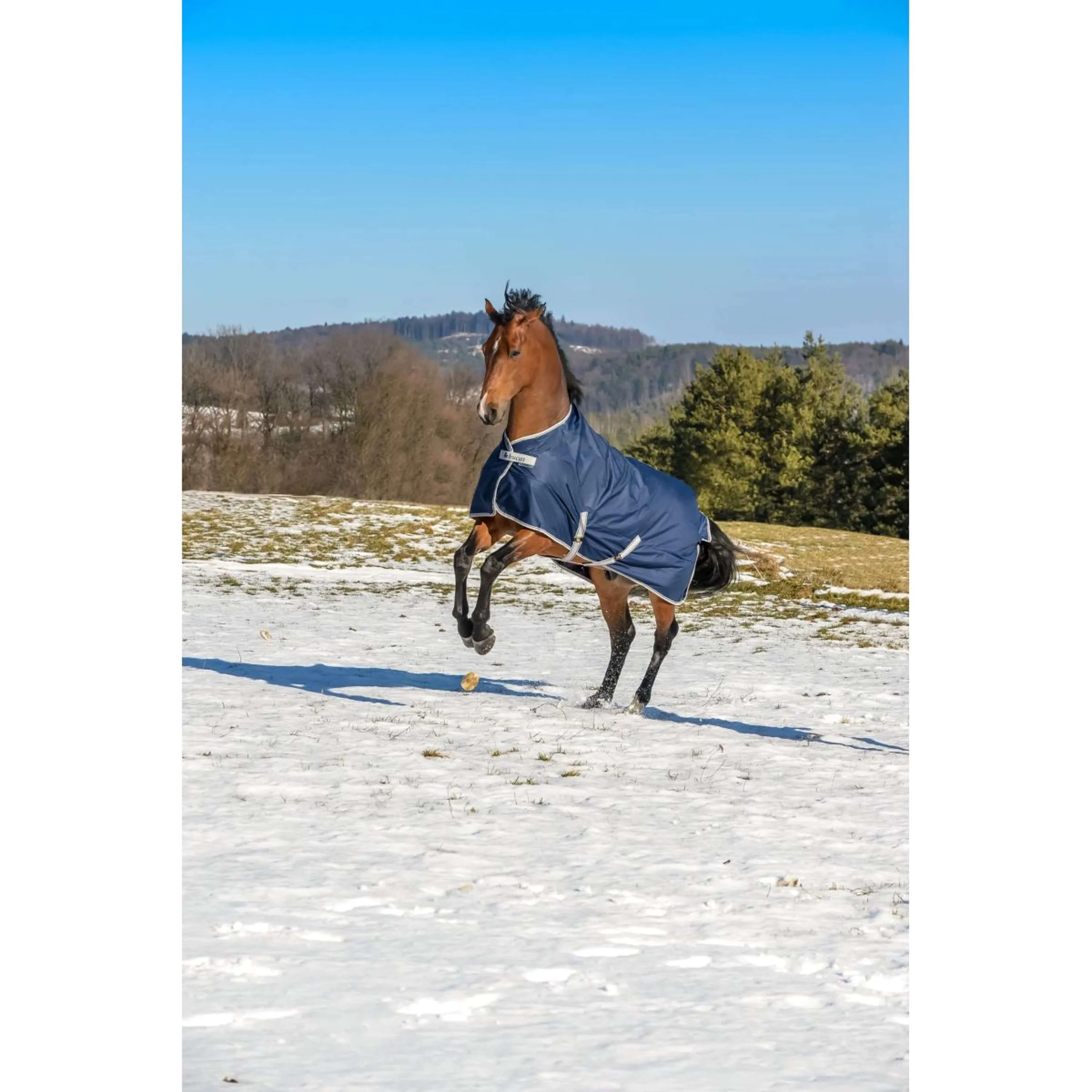 Bucas Turnout Freedom 300g Navy - Image 3